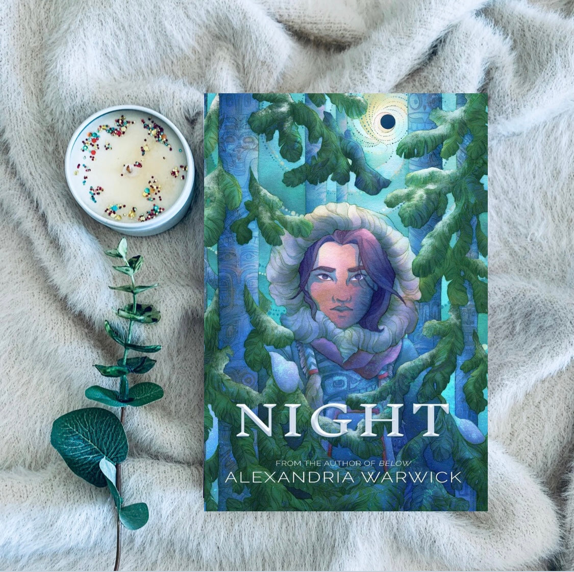 North series (hardcovers) by Alexandria Warwick