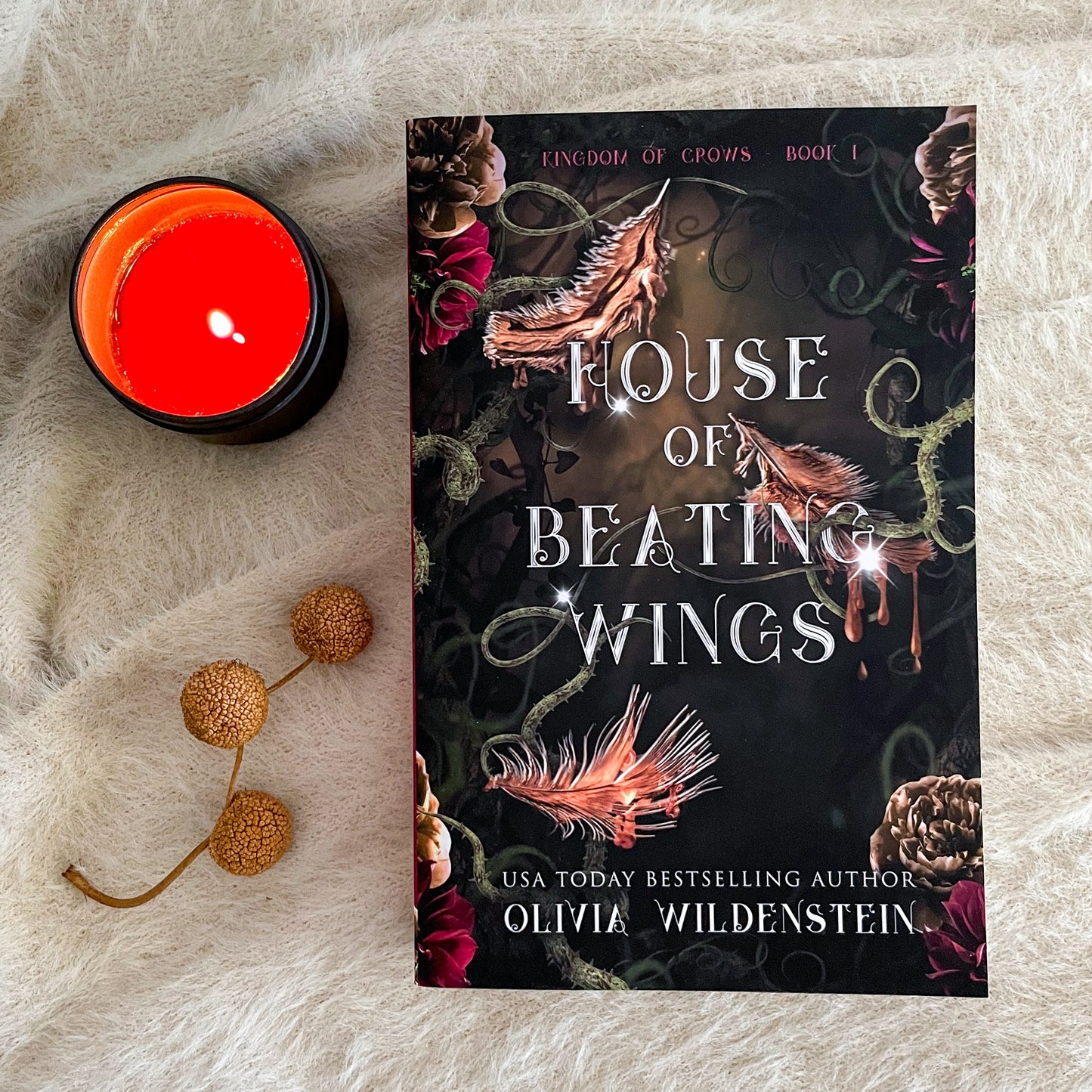 Kingdom of Crows by Olivia Wildenstein