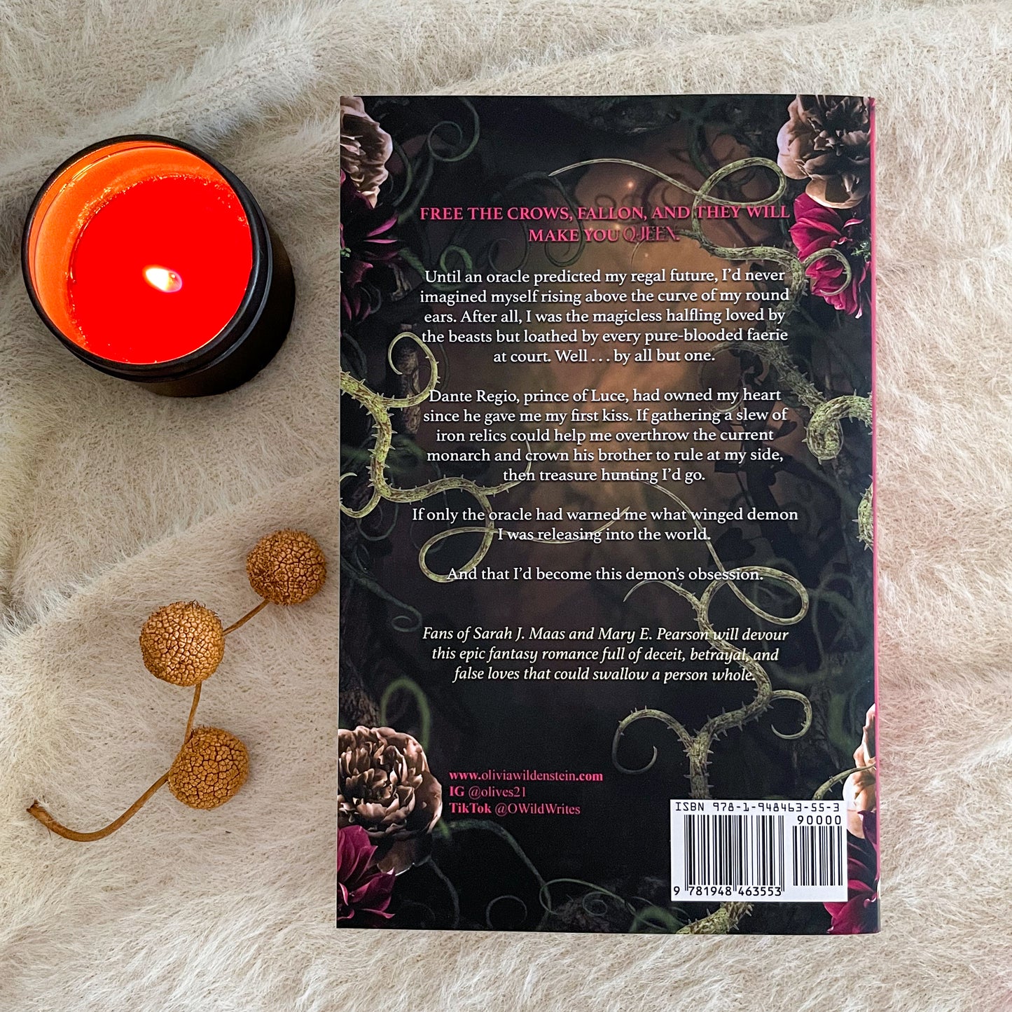 Kingdom of Crows by Olivia Wildenstein