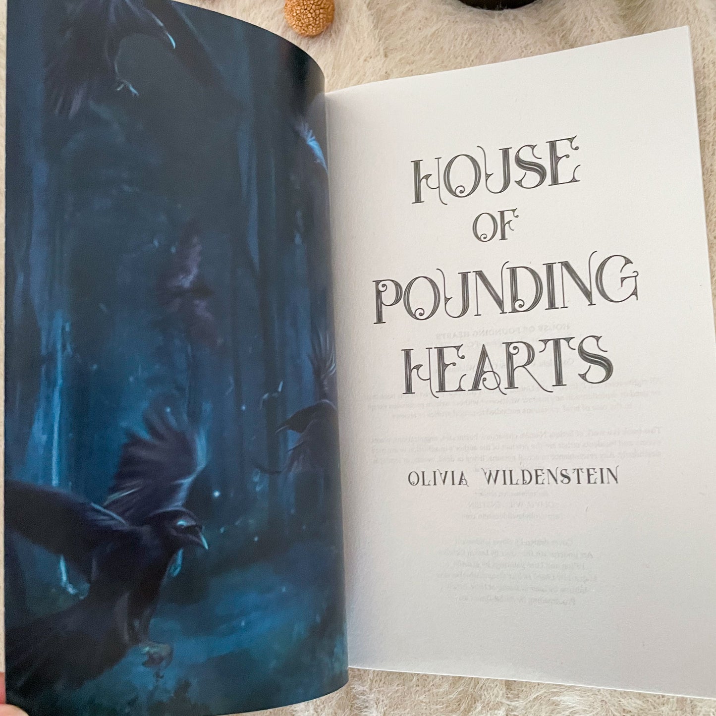 Kingdom of Crows by Olivia Wildenstein