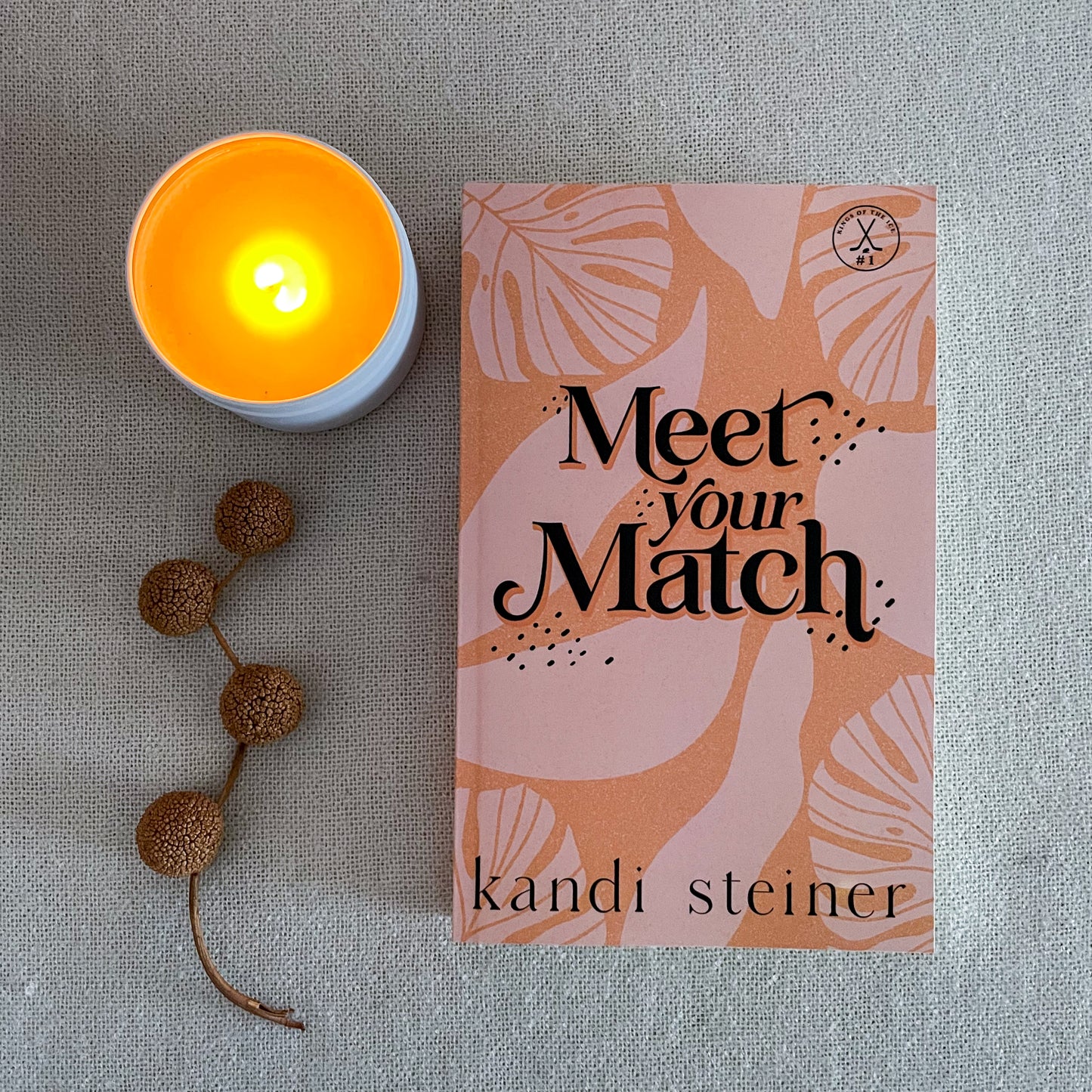 Kings of the Ice by Kandi Steiner