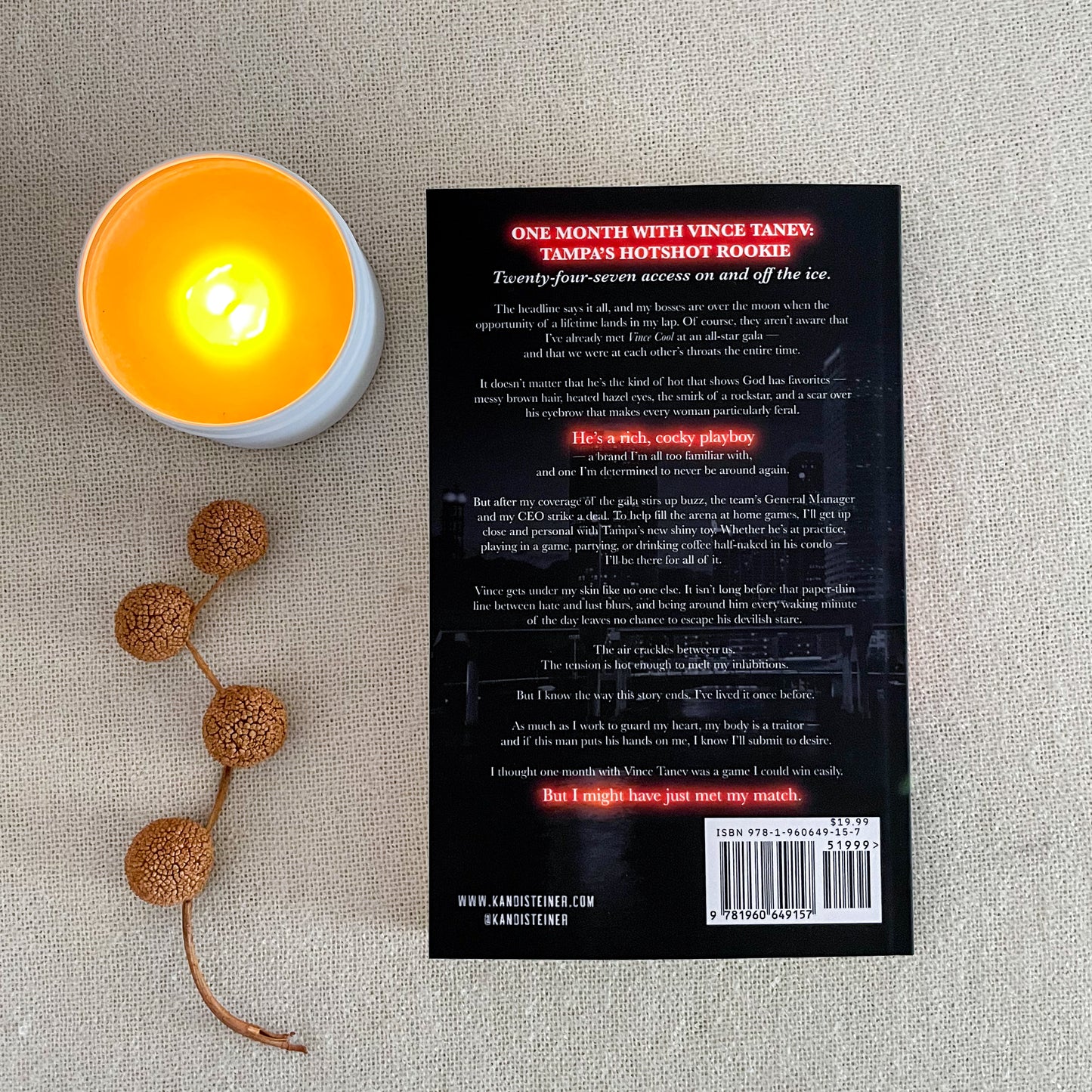 Kings of the Ice by Kandi Steiner