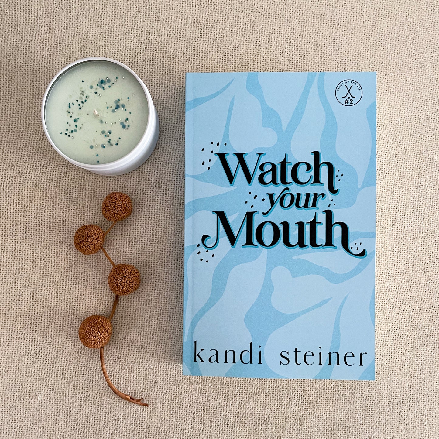 Kings of the Ice by Kandi Steiner