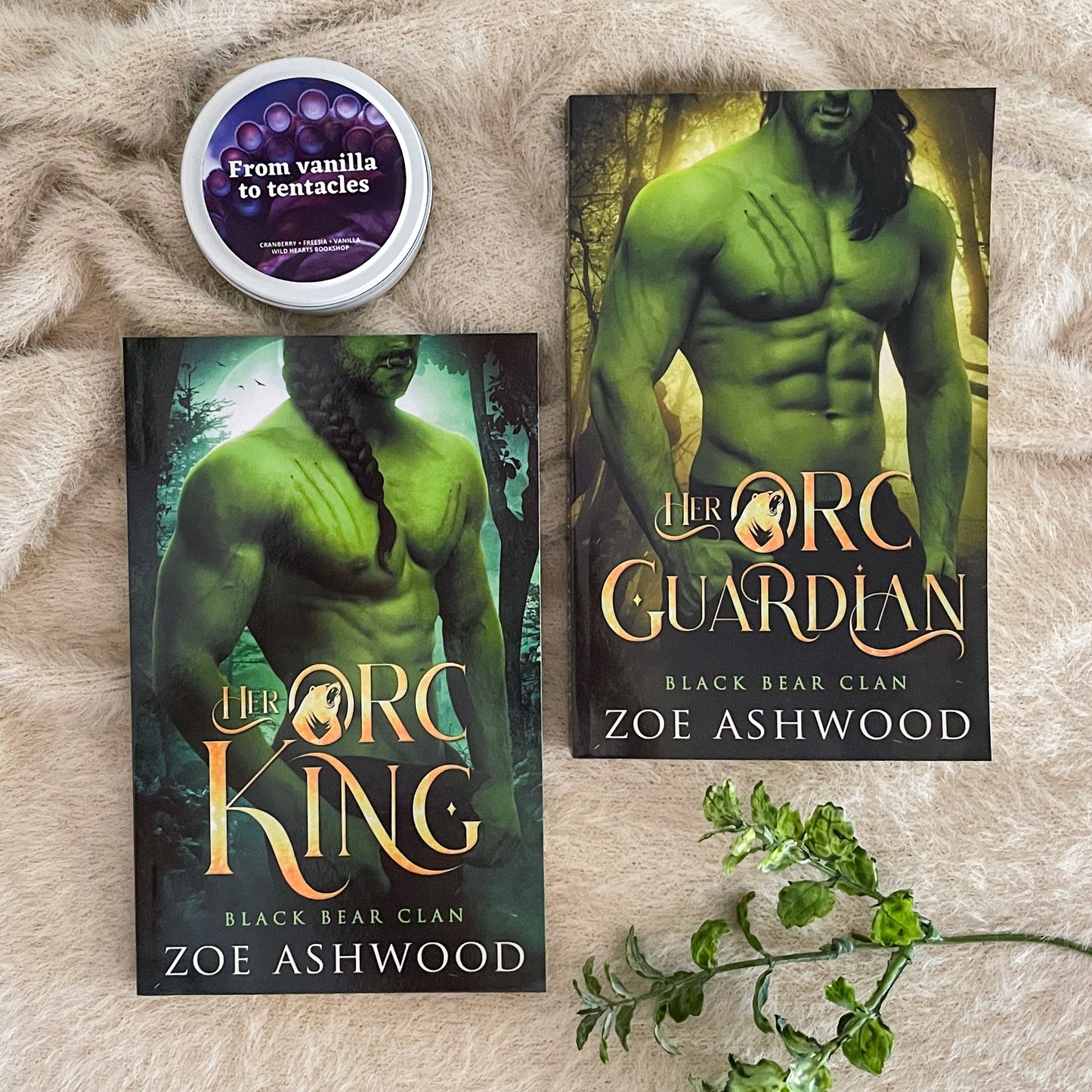 Black Bear Clan series by Zoe Ashwood