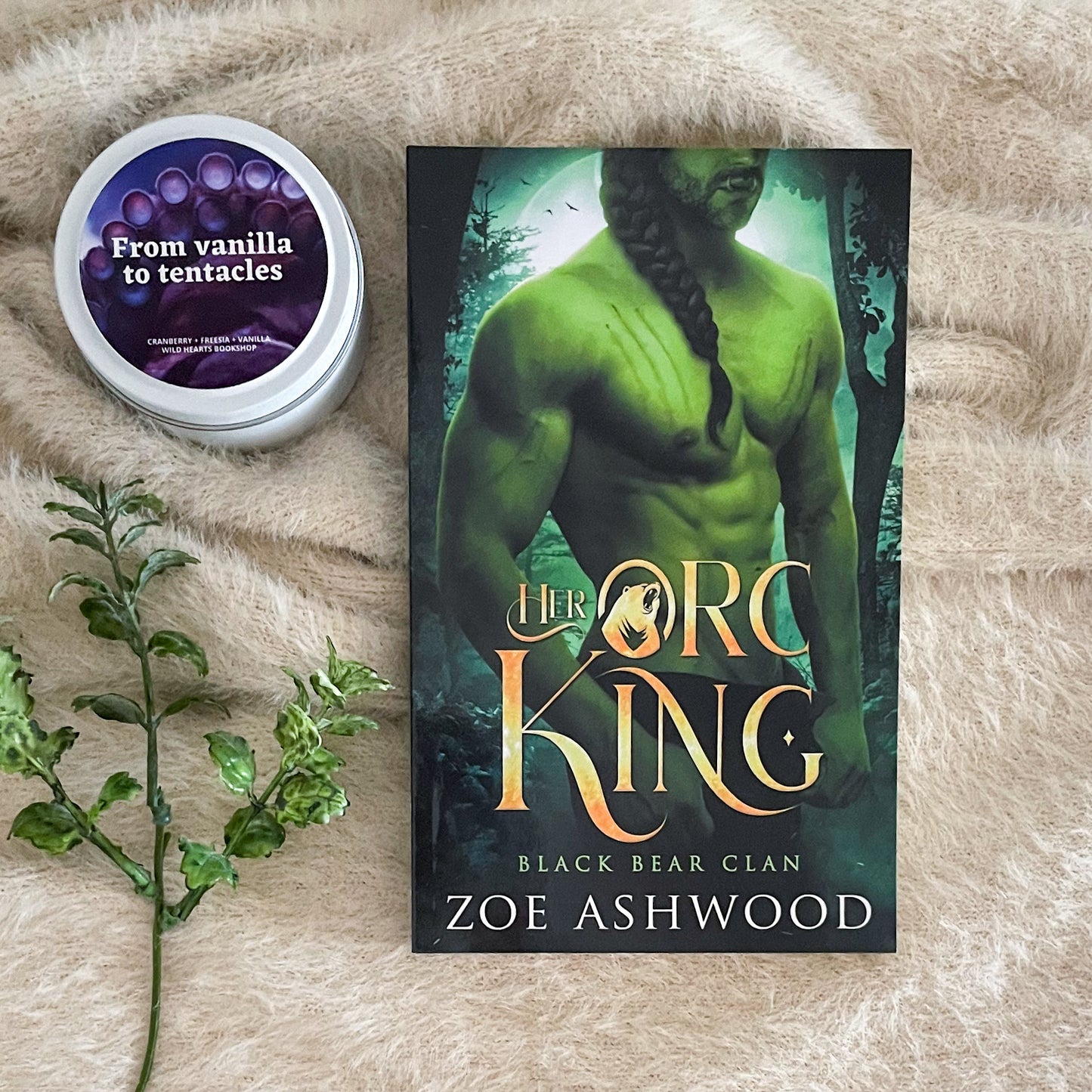 Black Bear Clan series by Zoe Ashwood
