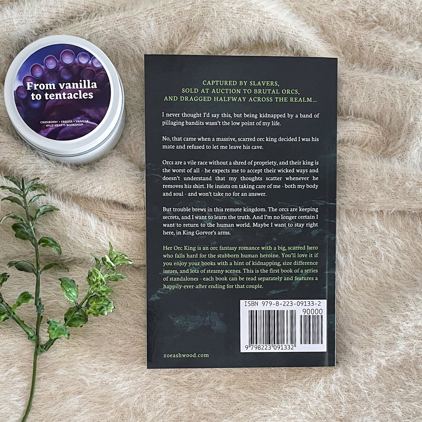 Black Bear Clan series by Zoe Ashwood
