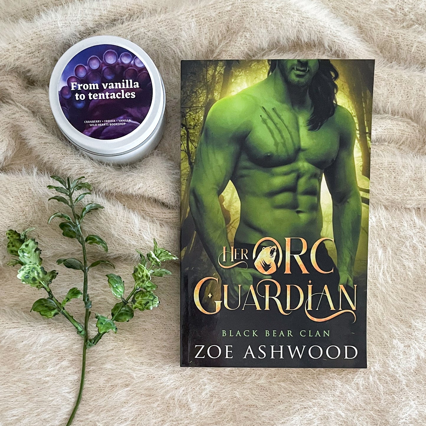 Black Bear Clan series by Zoe Ashwood