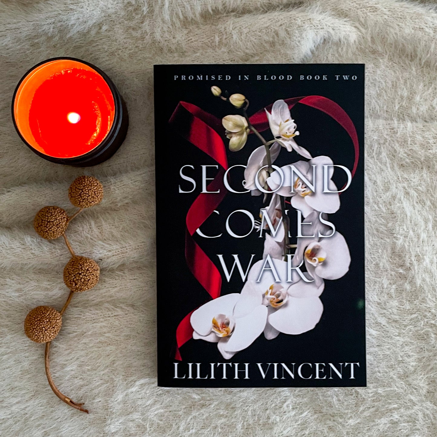 Promised in Blood series (Special Editions) by Lilith Vincent