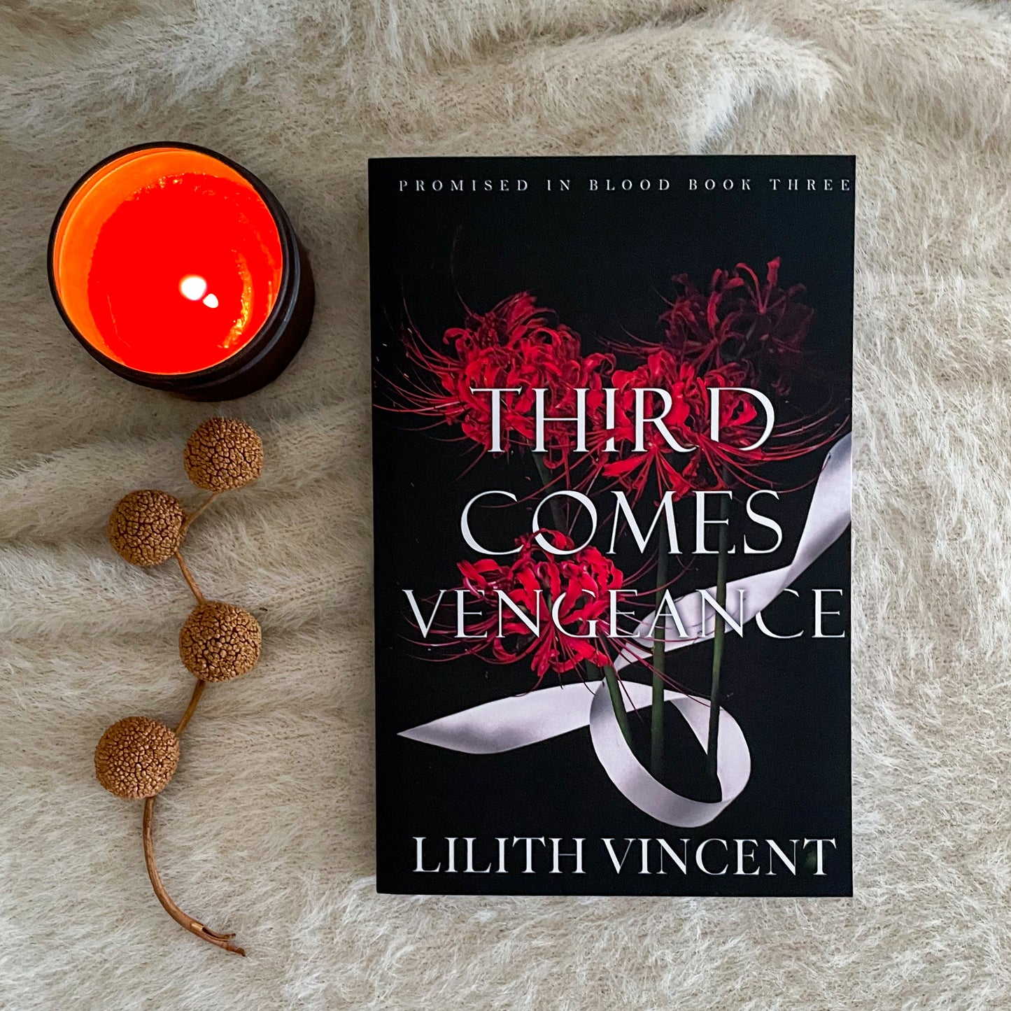 Promised in Blood series (Special Editions) by Lilith Vincent