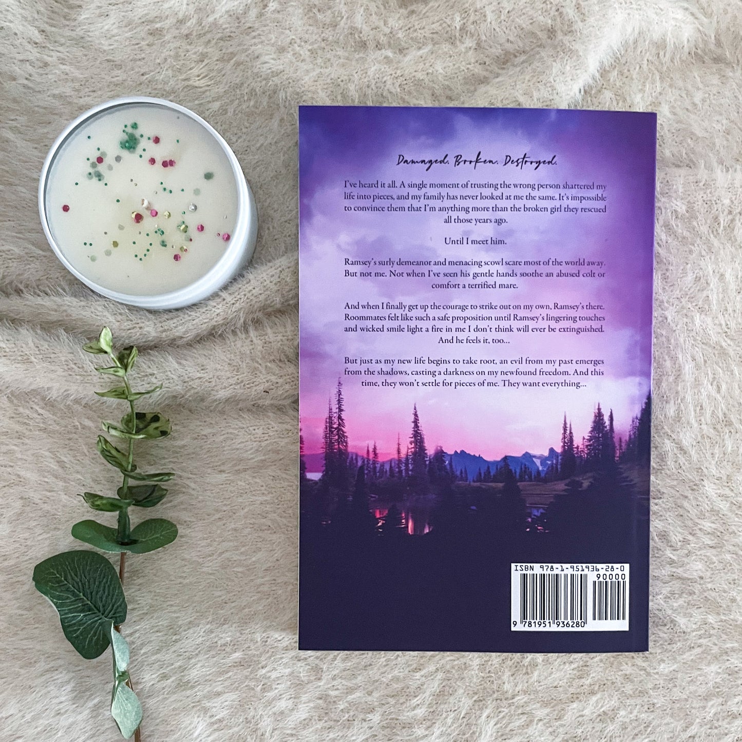 The Tattered and Torn Series by Catherine Cowles