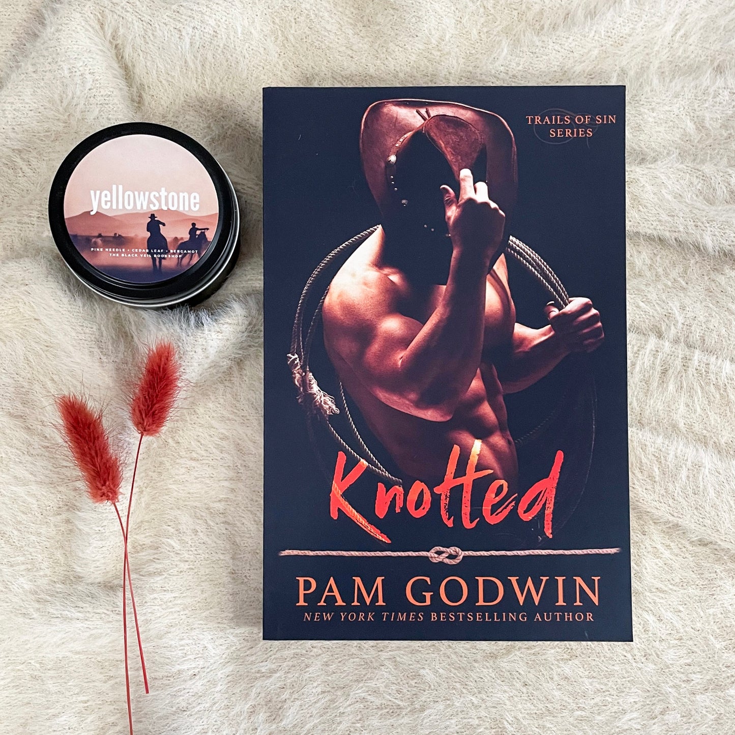 Trails of Sin series by Pam Godwin