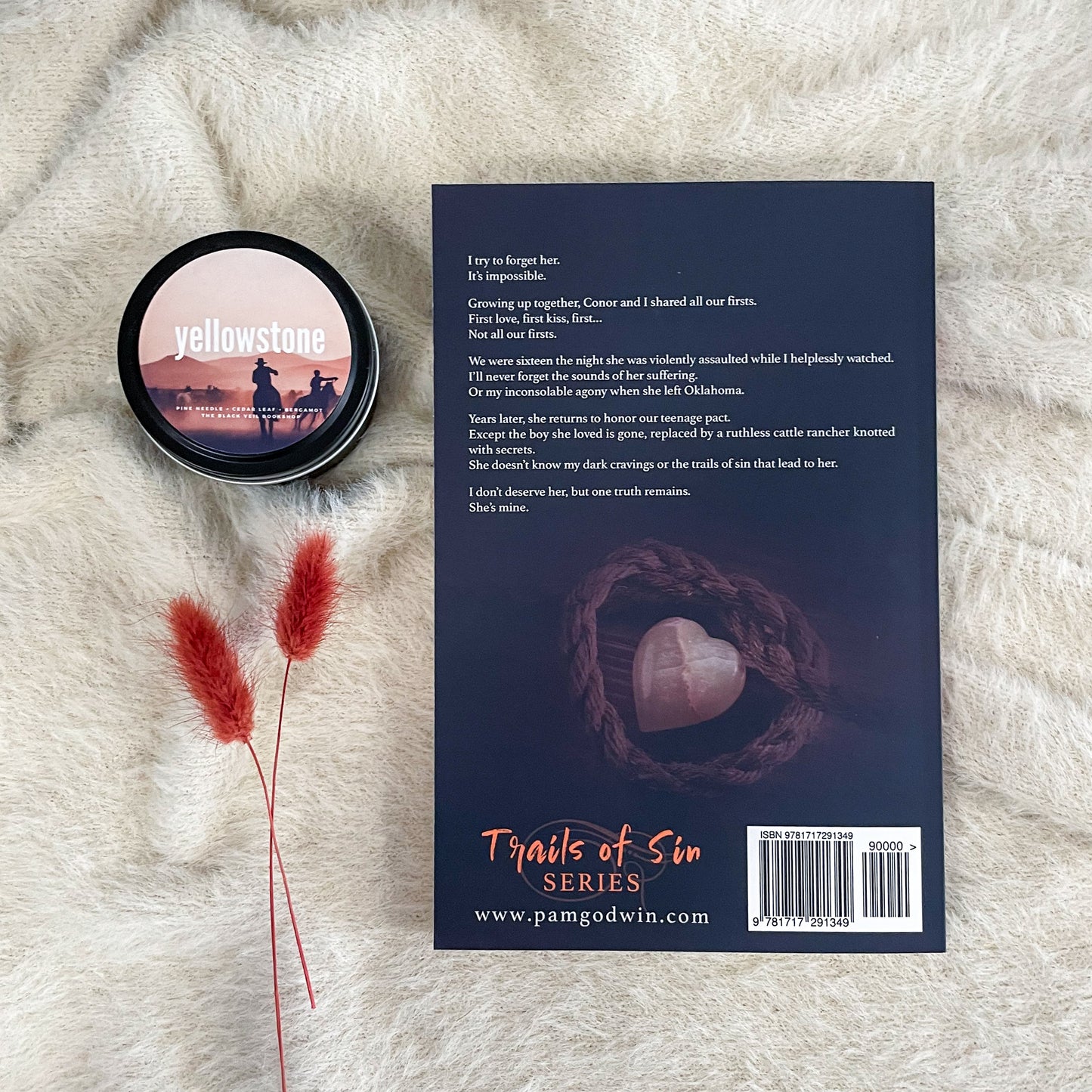 Trails of Sin series by Pam Godwin