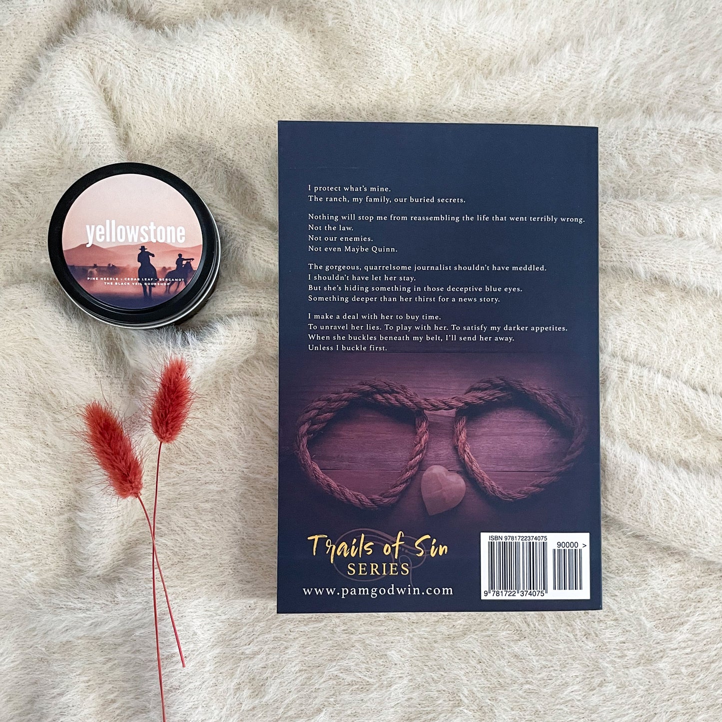 Trails of Sin series by Pam Godwin