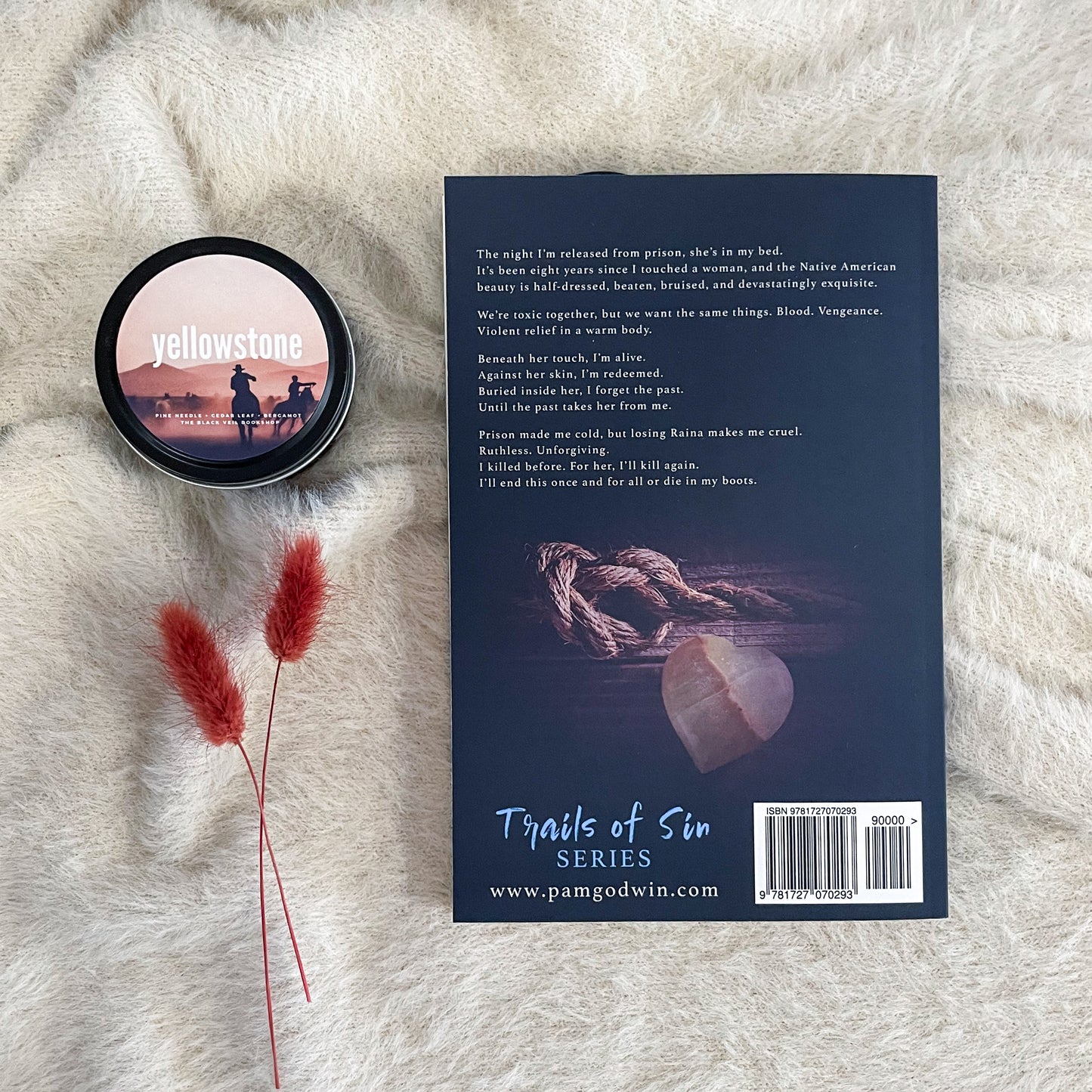 Trails of Sin series by Pam Godwin