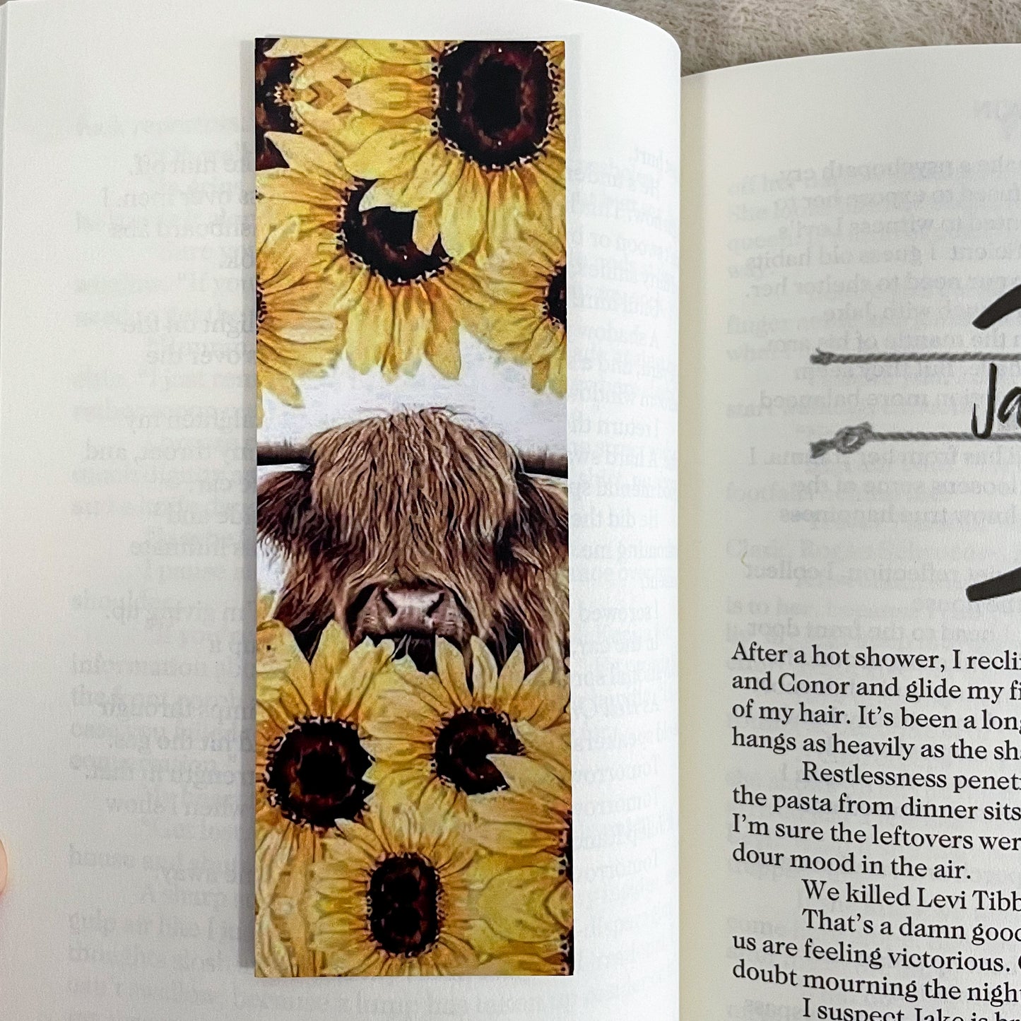 Sunflower Highlander