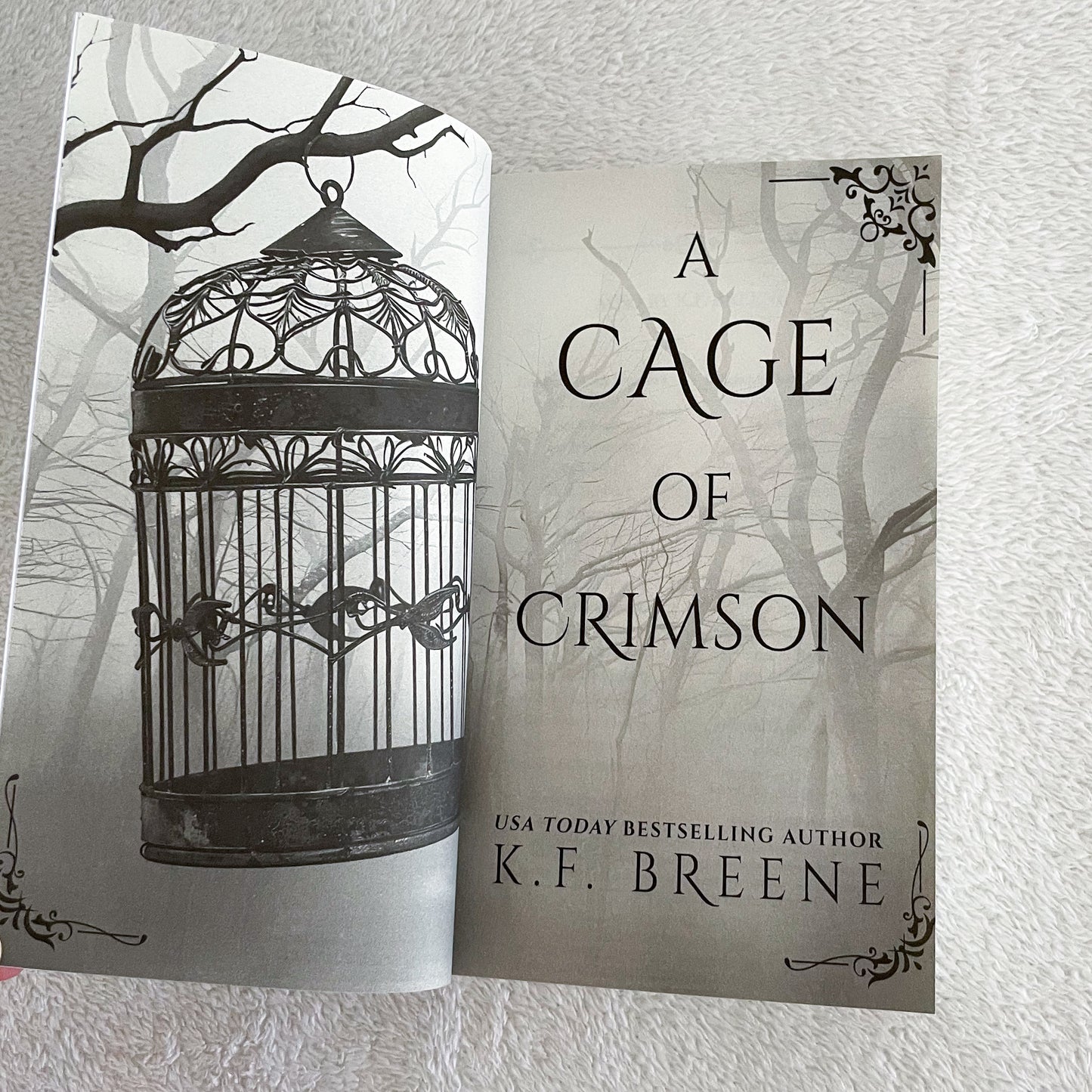 Deliciously Dark Fairytales - Red Riding Hood by K F Breene