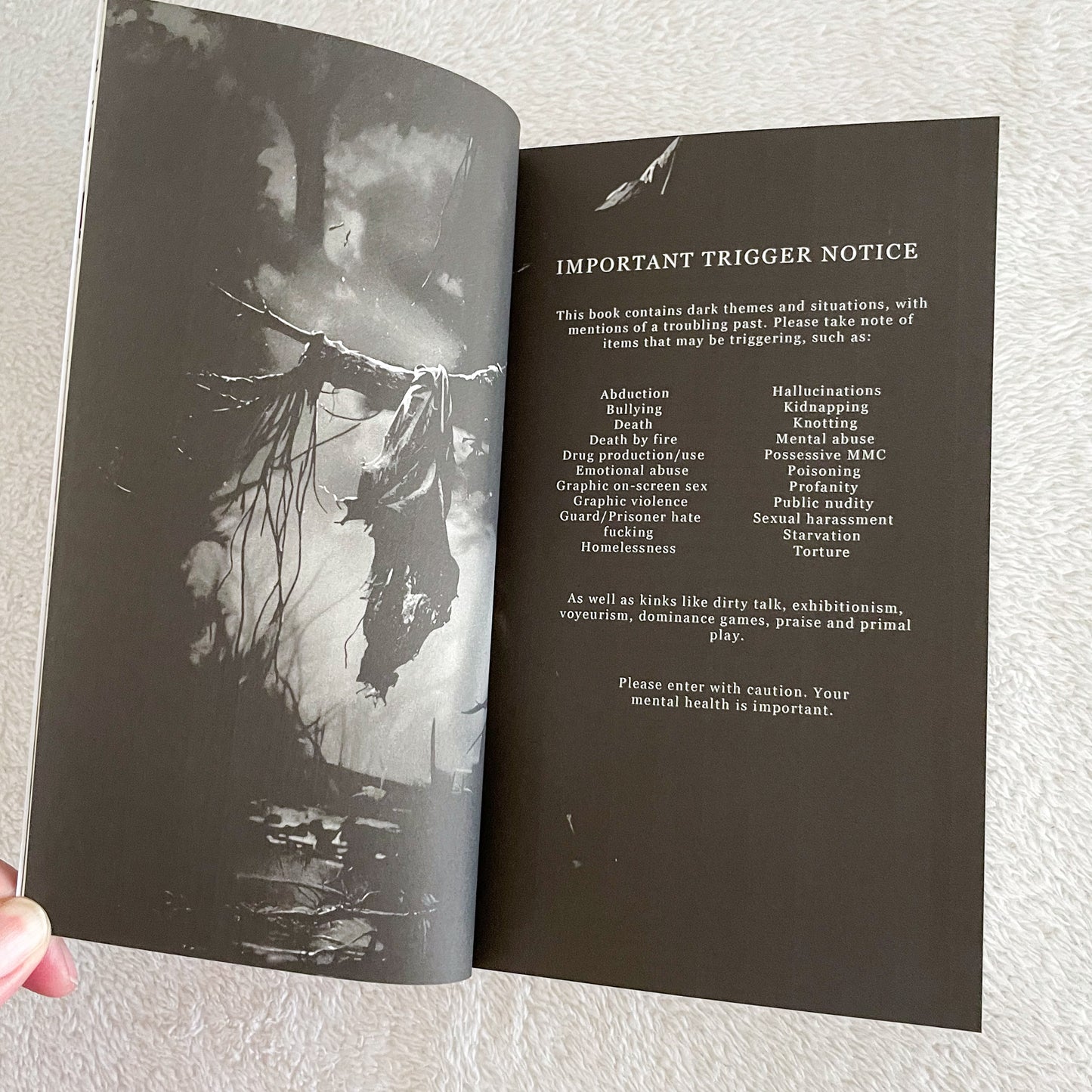 Deliciously Dark Fairytales - Red Riding Hood by K F Breene