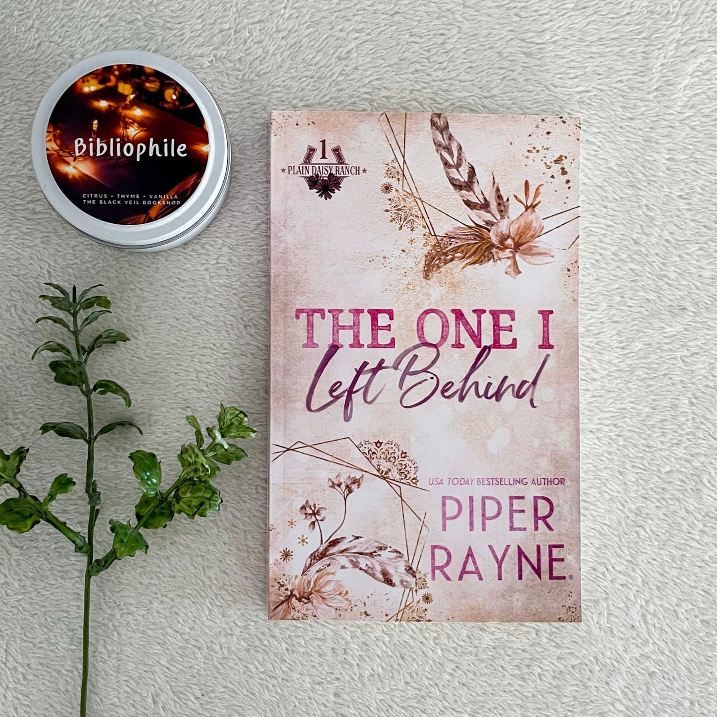 Plain Daisy Ranch series by Piper Rayne