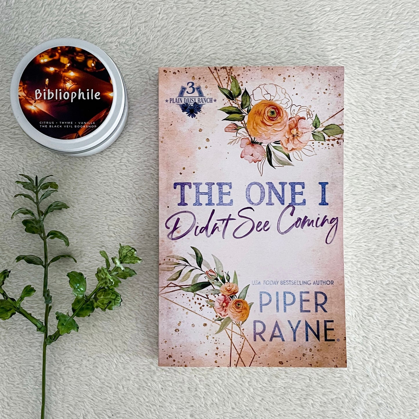 Plain Daisy Ranch series by Piper Rayne
