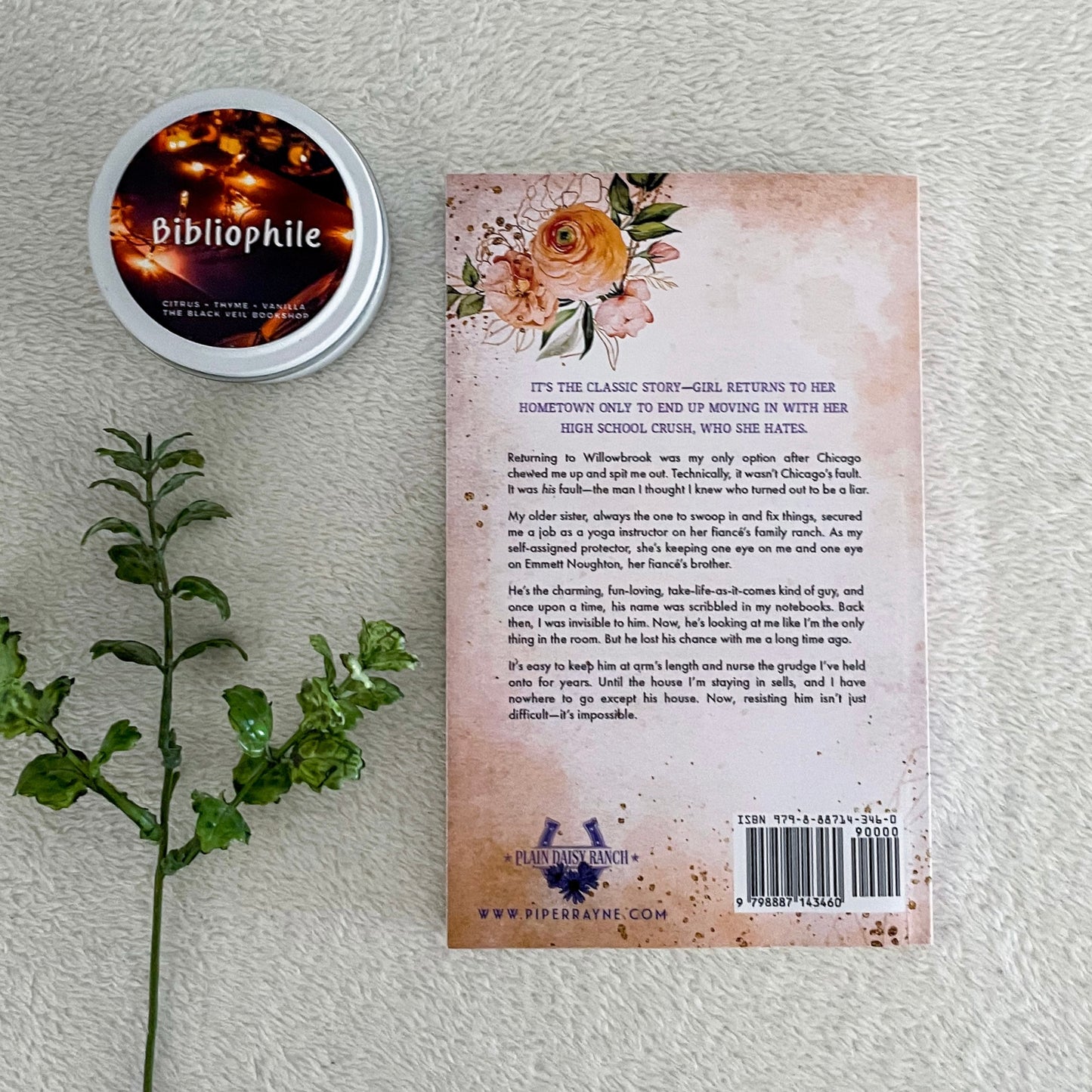 Plain Daisy Ranch series by Piper Rayne