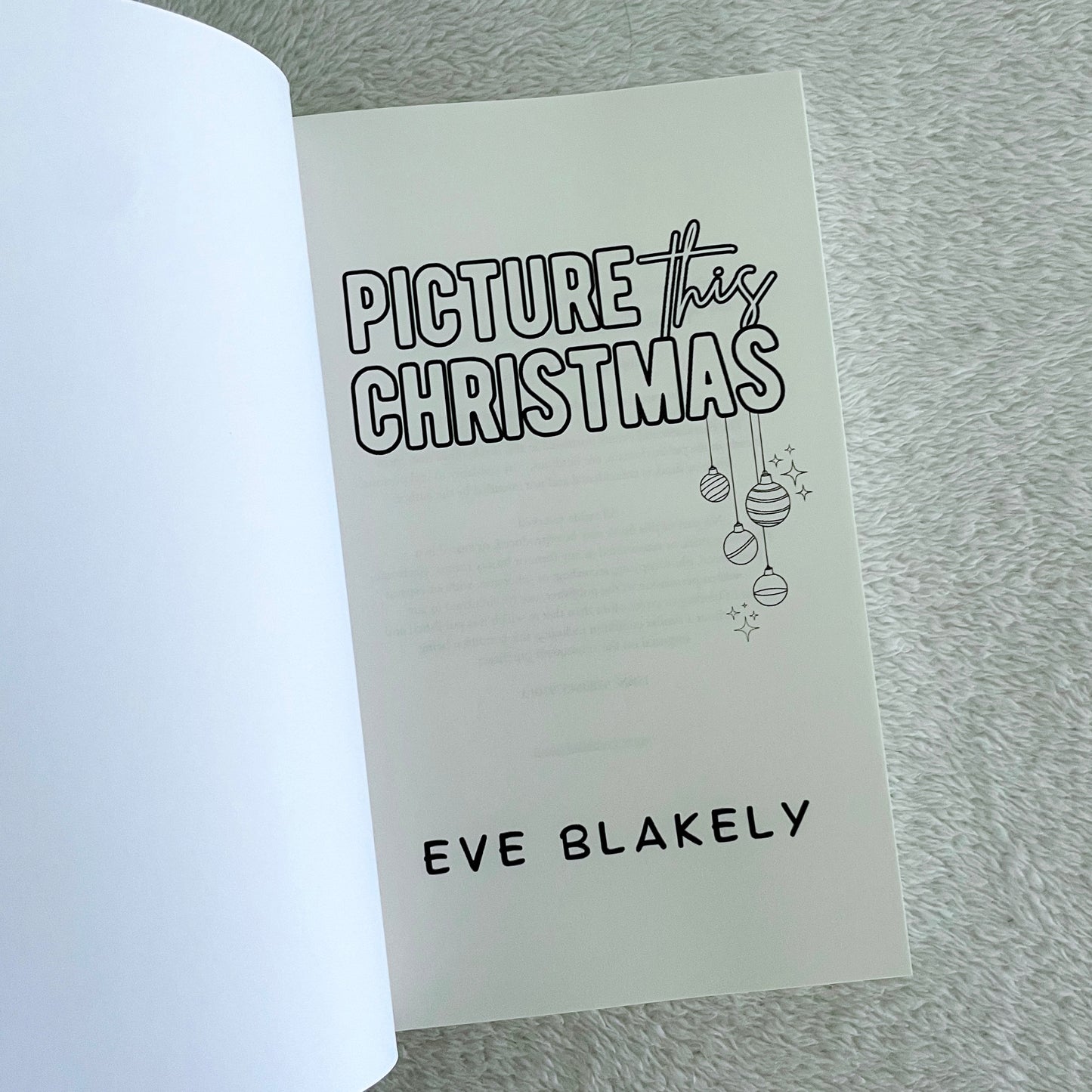 Picture This Christmas by Eve Blakely
