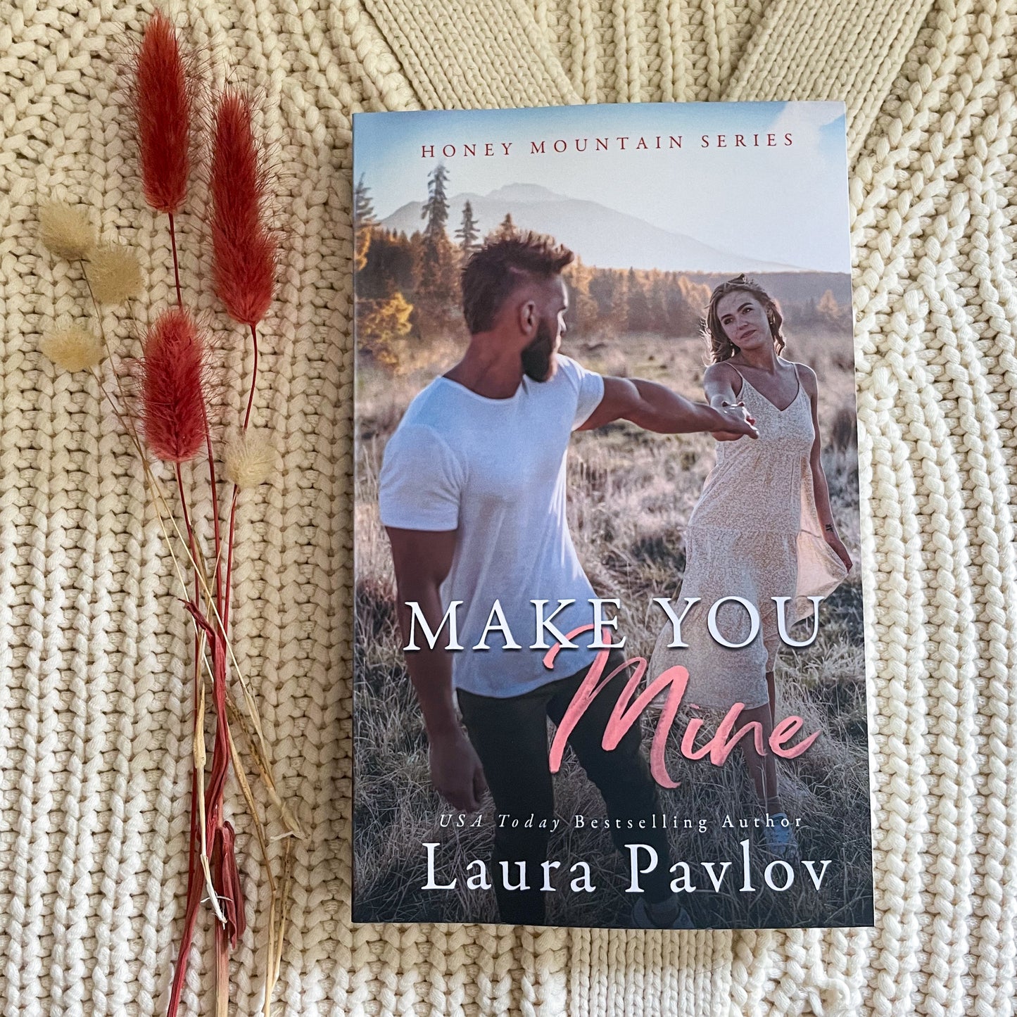 Honey Mountain series by Laura Pavlov