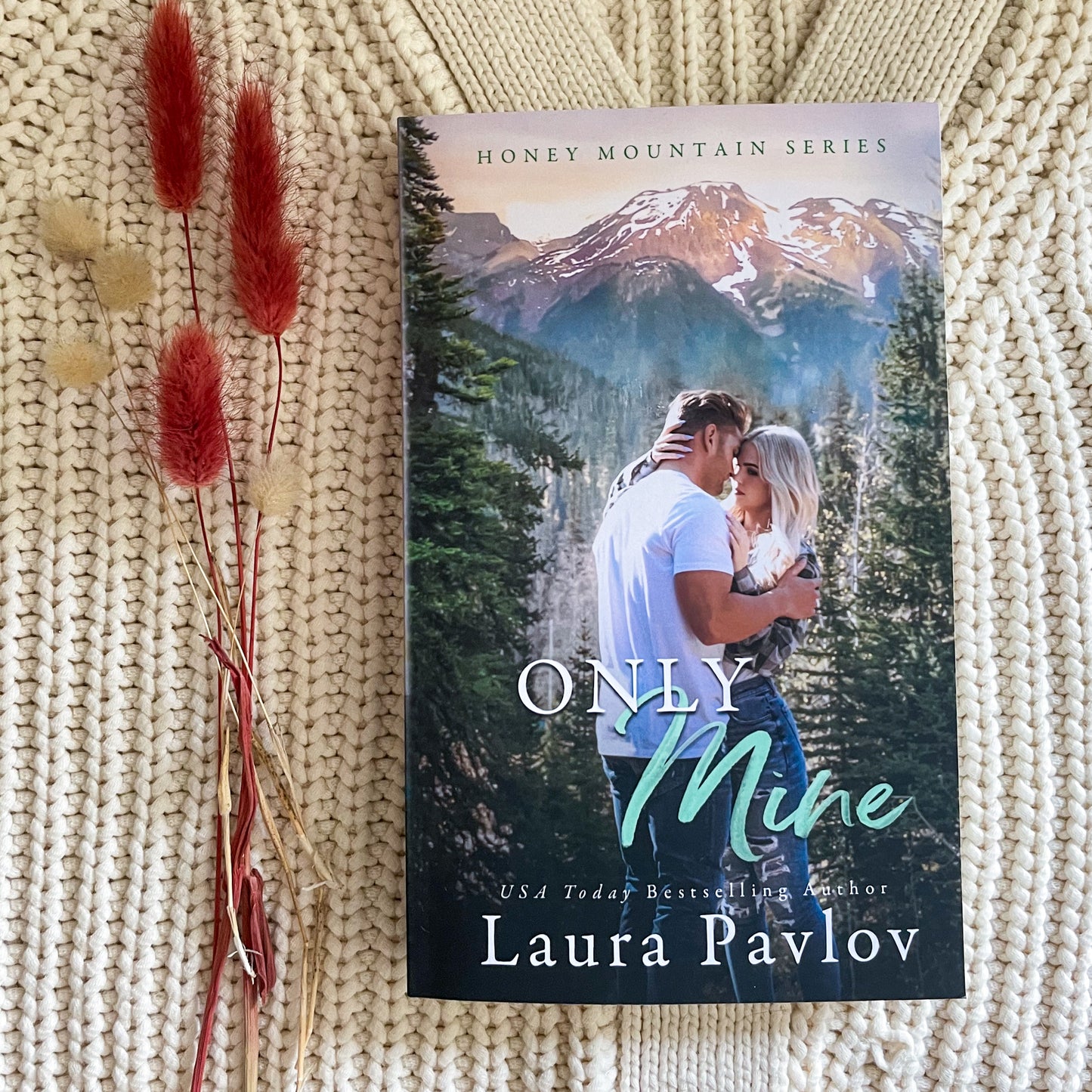 Honey Mountain series by Laura Pavlov