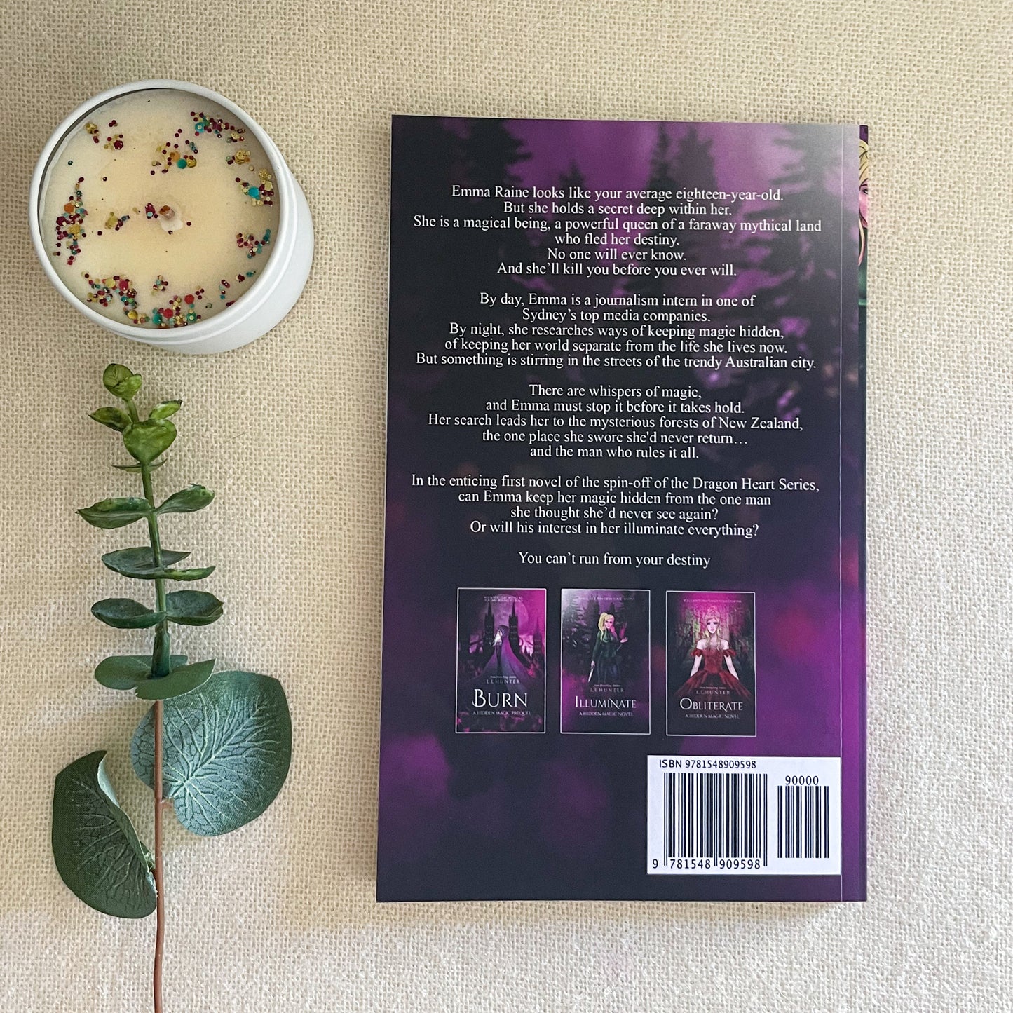 Hidden Magic series by L L Hunter