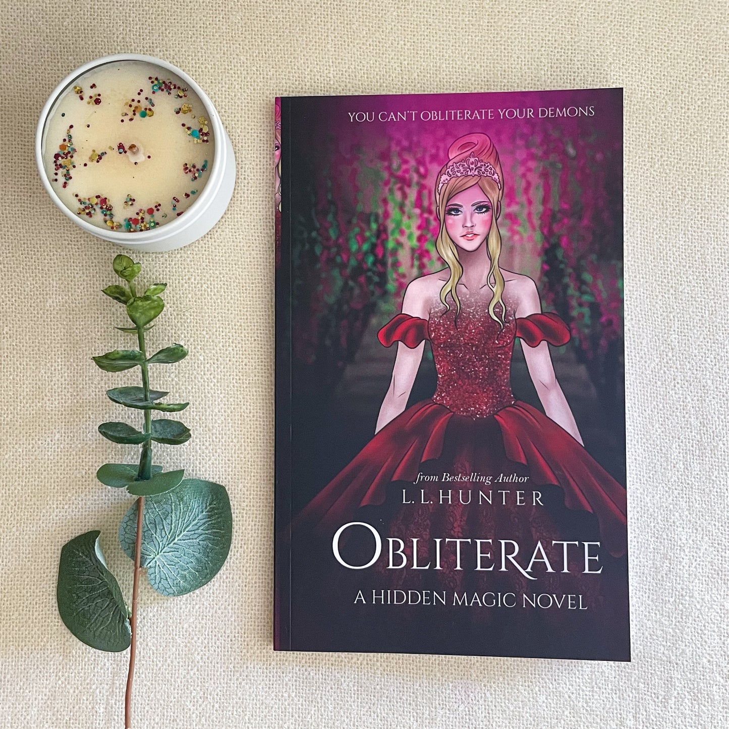 Hidden Magic series by L L Hunter