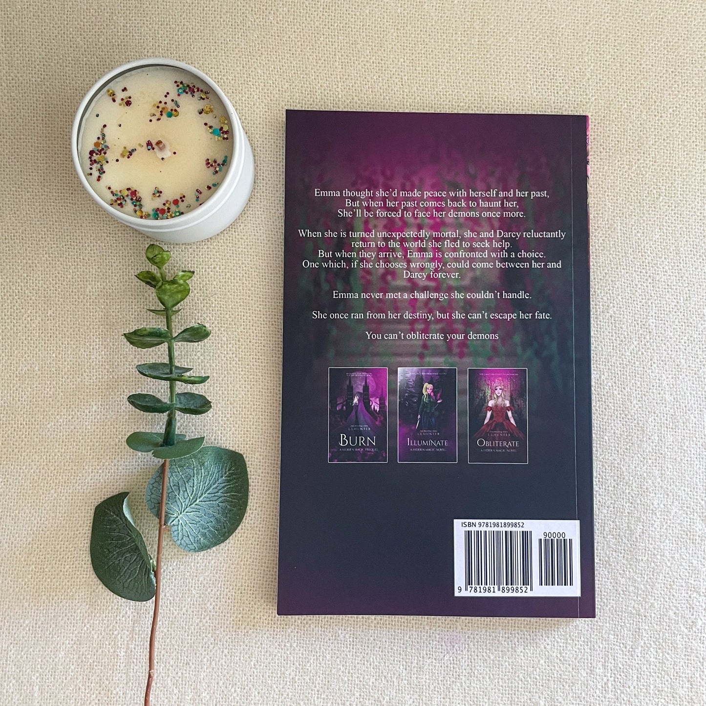 Hidden Magic series by L L Hunter