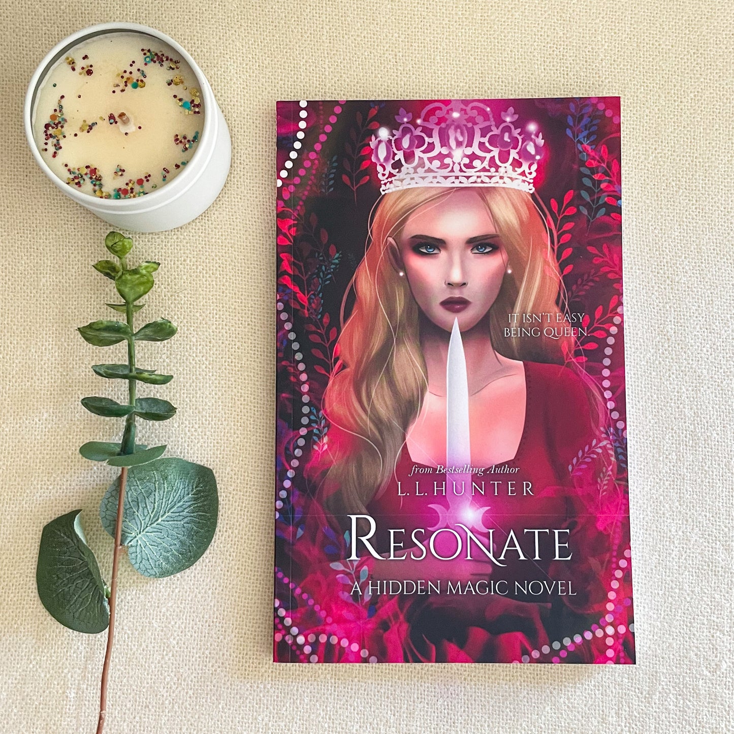 Hidden Magic series by L L Hunter