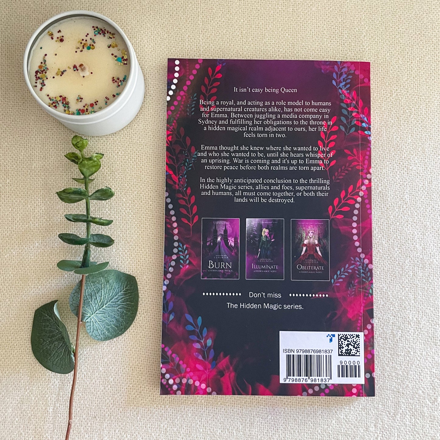 Hidden Magic series by L L Hunter