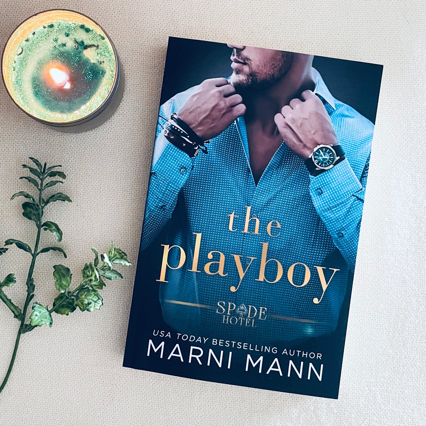 Spade Hotel series by Marni Mann