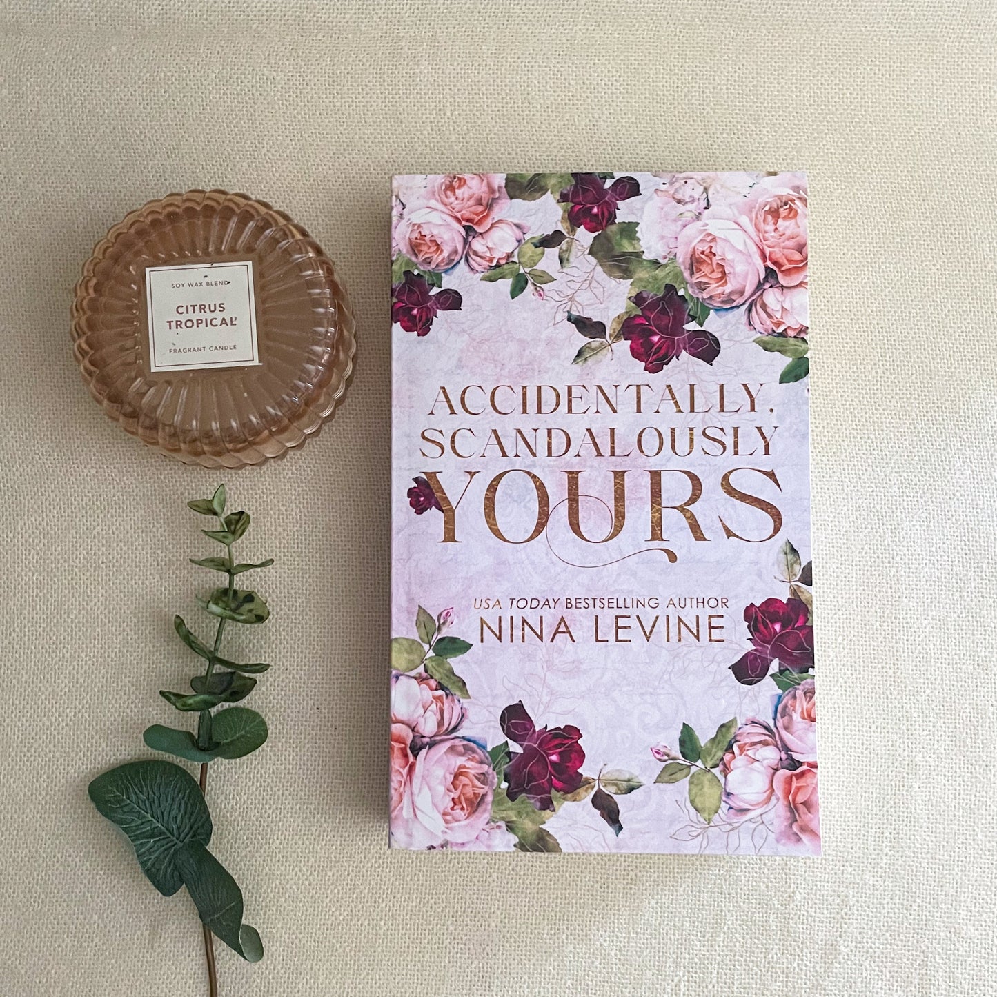 Only Yours series by Nina Levine