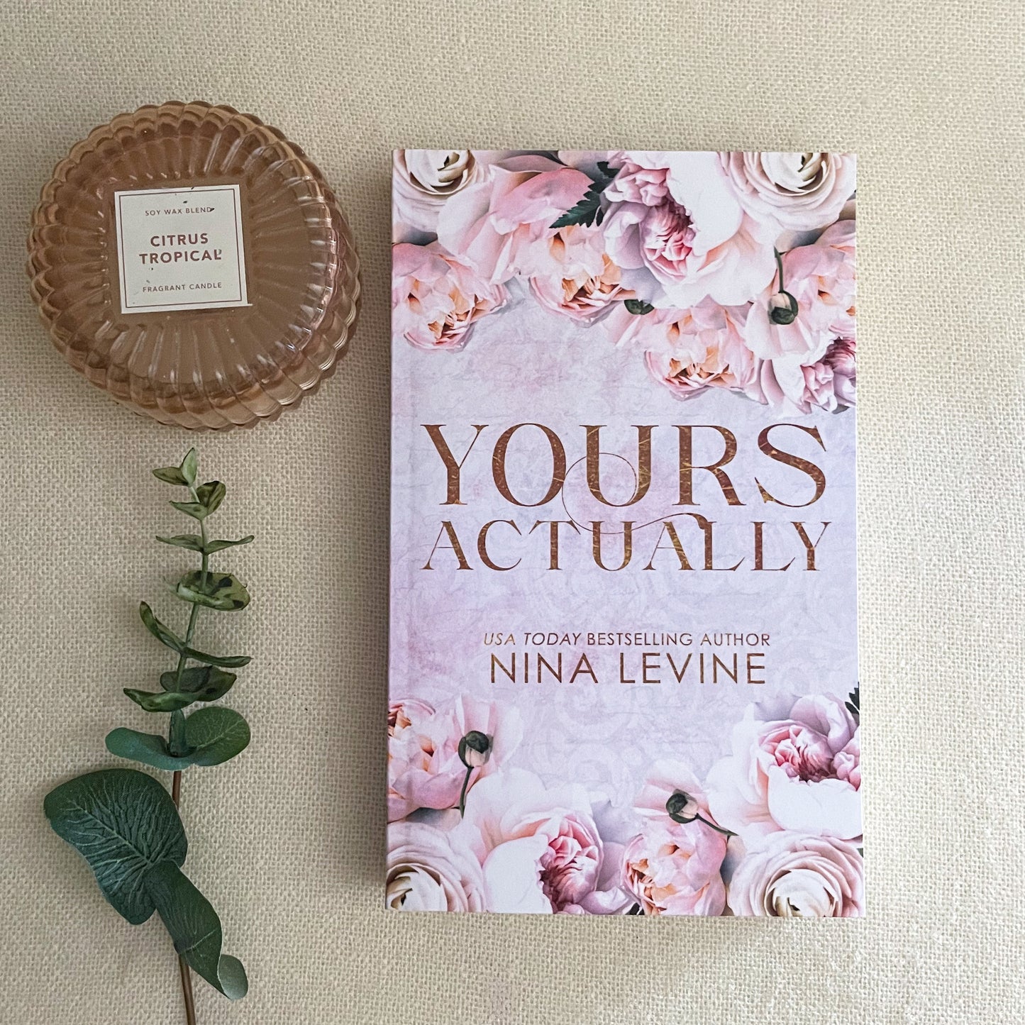 Only Yours series by Nina Levine