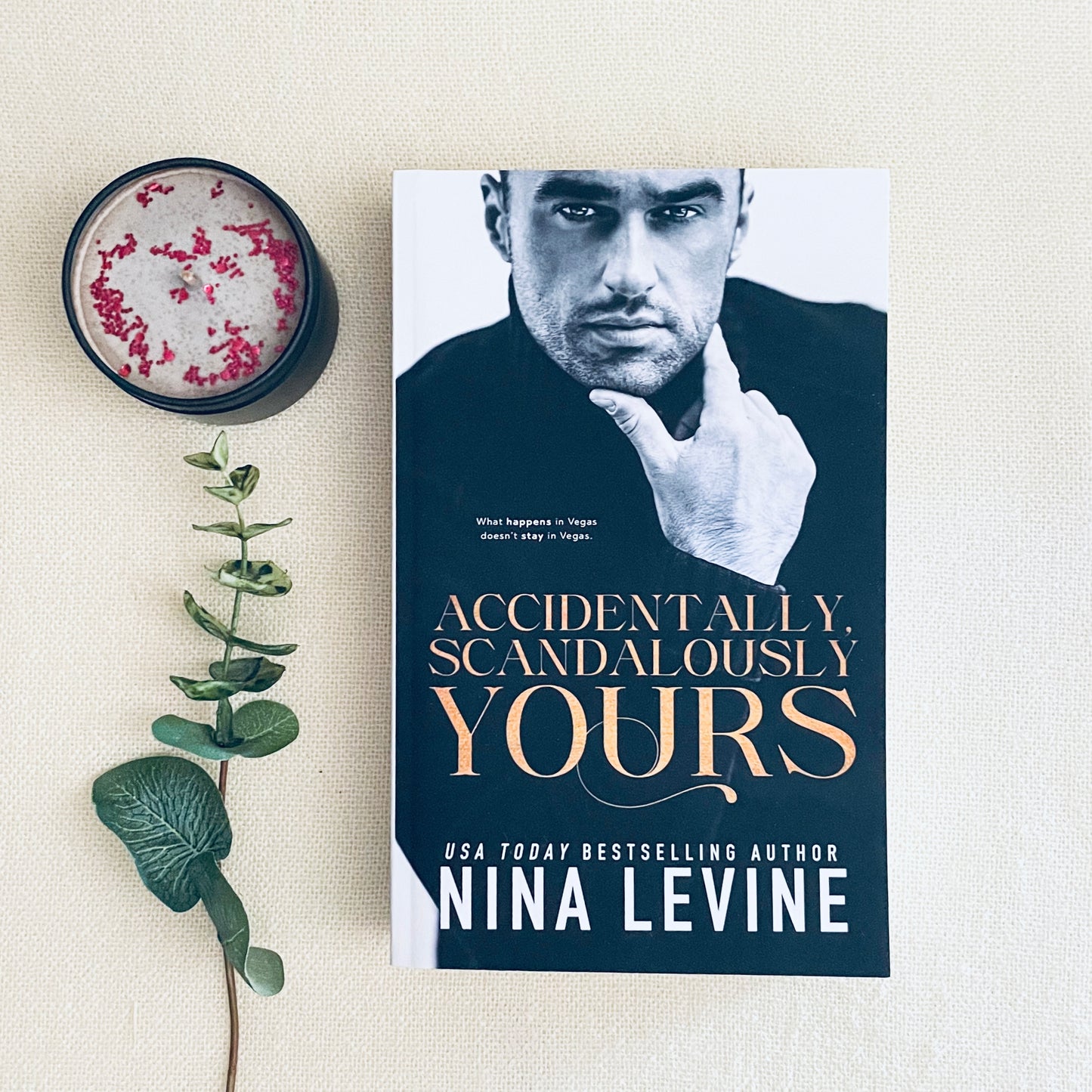 Only Yours series by Nina Levine