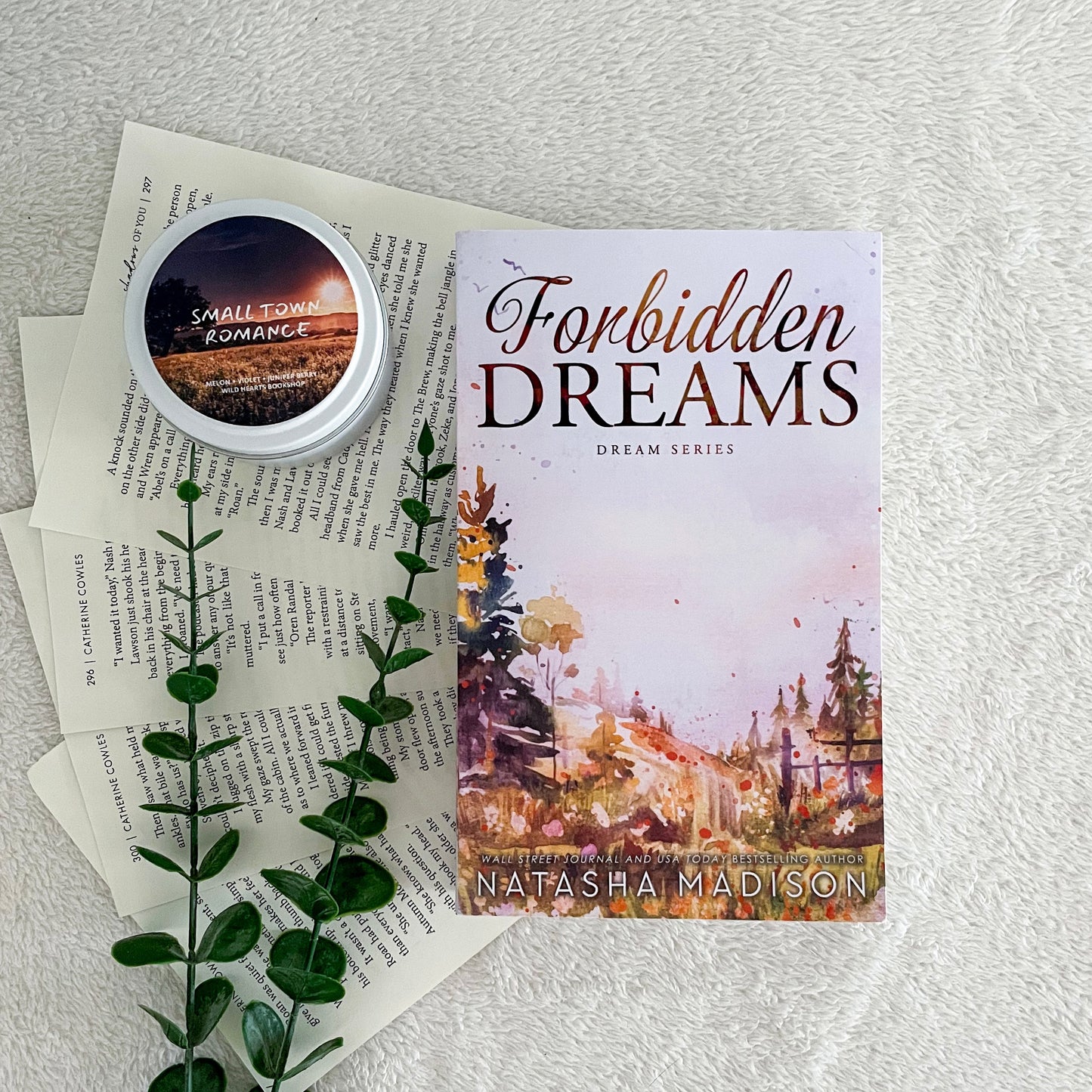 Dream series by Natasha Madison