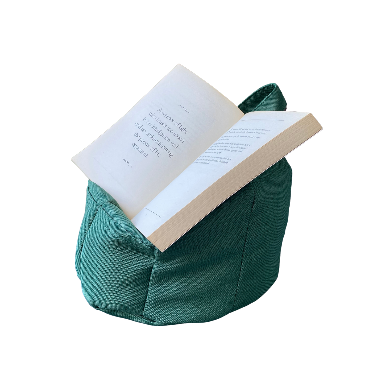 Bean Bag Book Holder