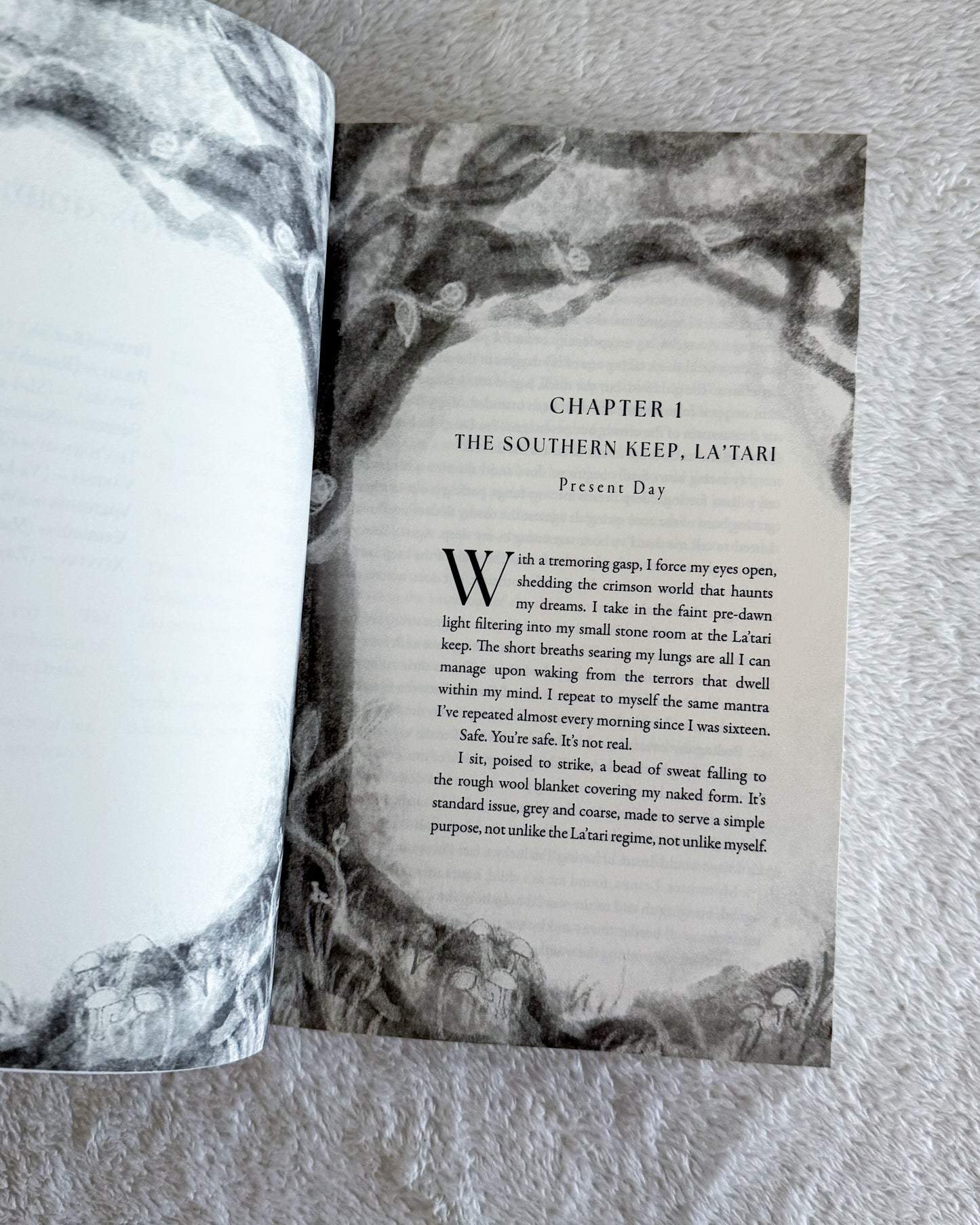 Veils of Terr series by JR Cathers