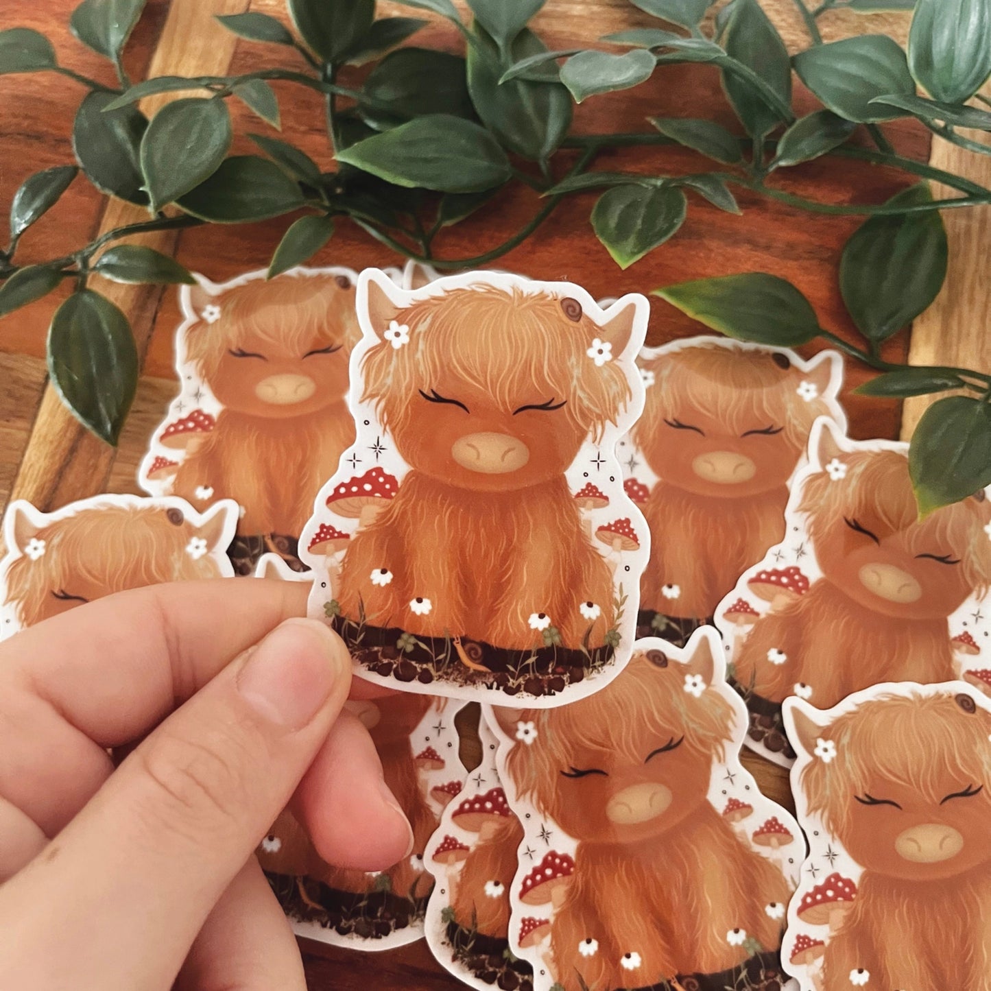 Highland Cow “Sophie” sticker