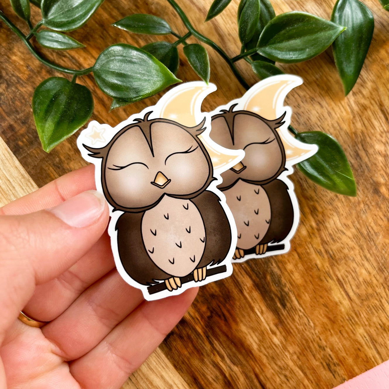 Owl vinyl sticker