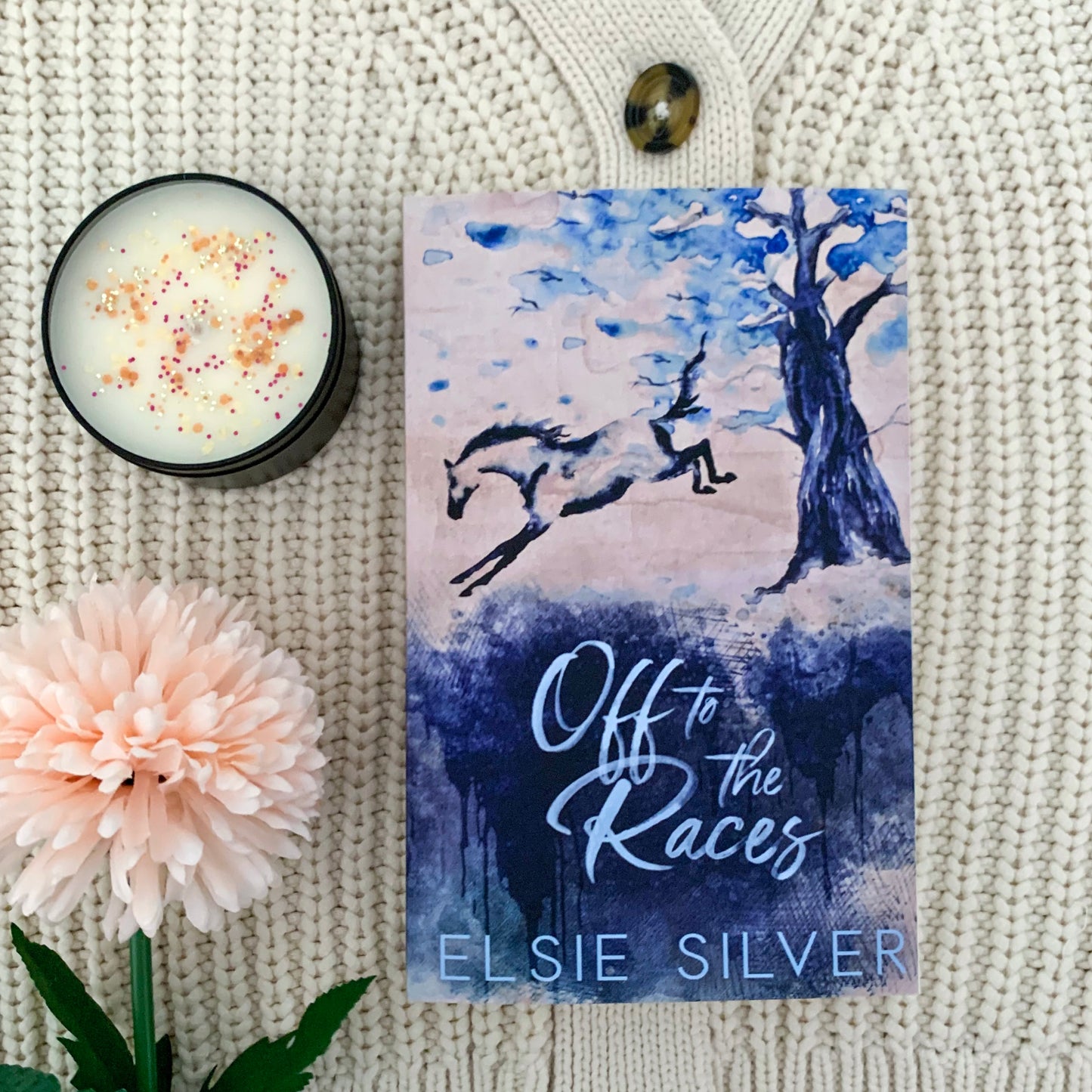 Gold Rush Ranch series by Elsie Silver