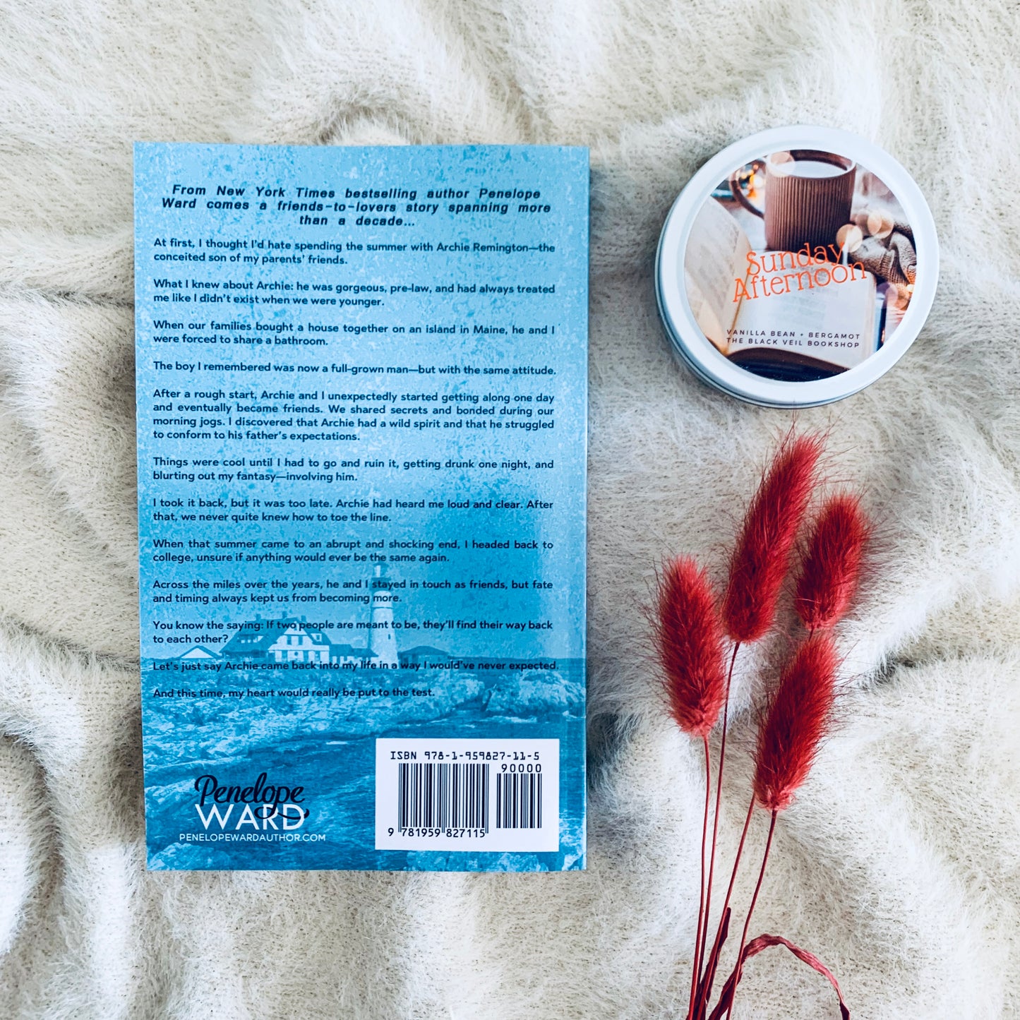 Toe the Line by Penelope Ward