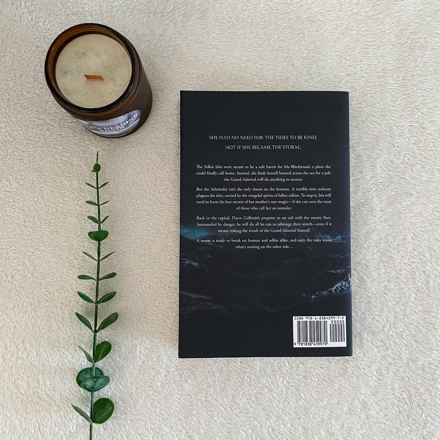 Mists of Memory by N C Scrimgeour