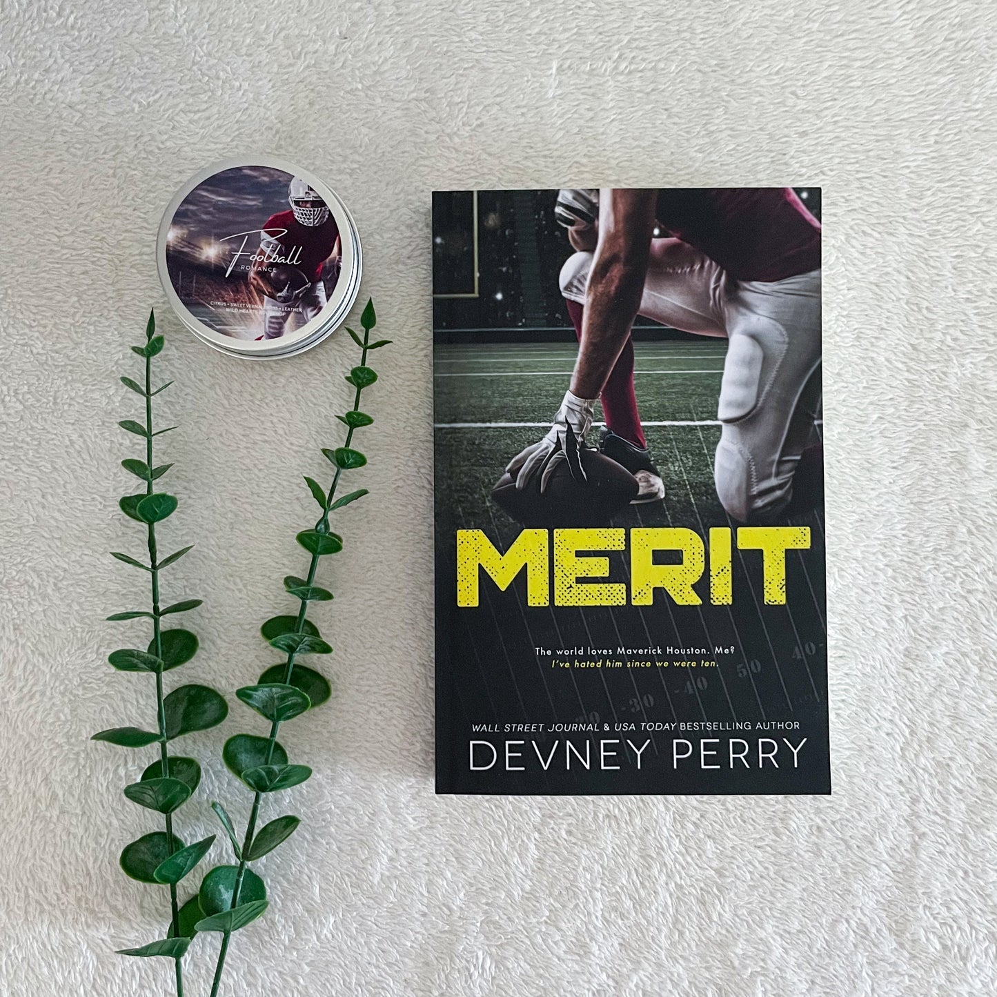 Treasure State Wildcats Series by Devney Perry