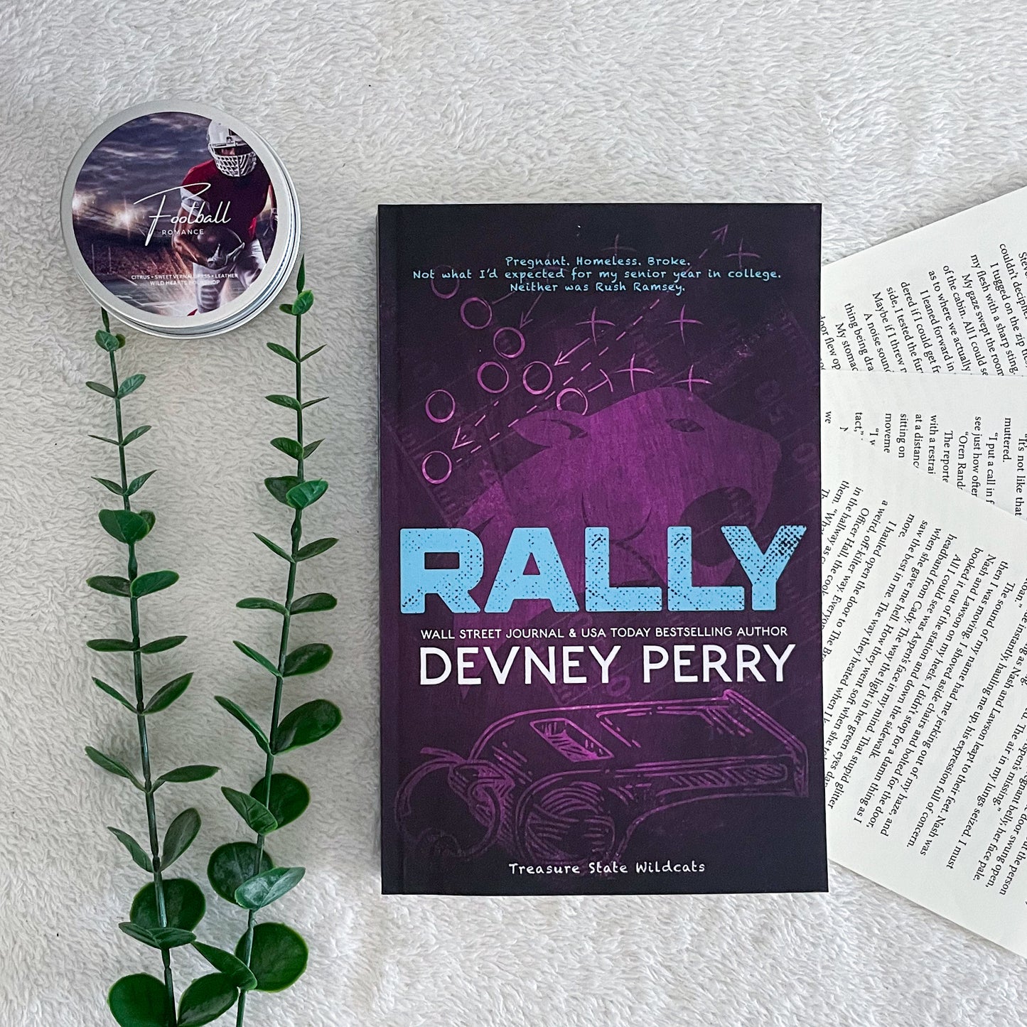 Treasure State Wildcats Series by Devney Perry