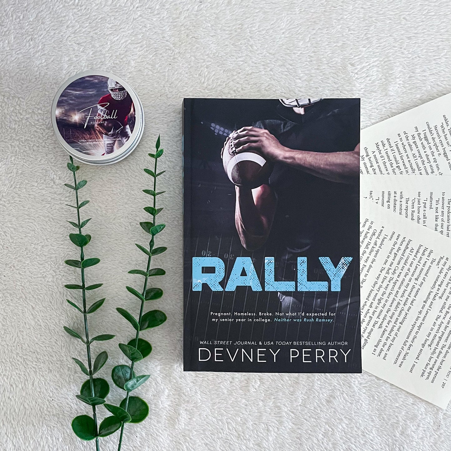 Treasure State Wildcats Series by Devney Perry