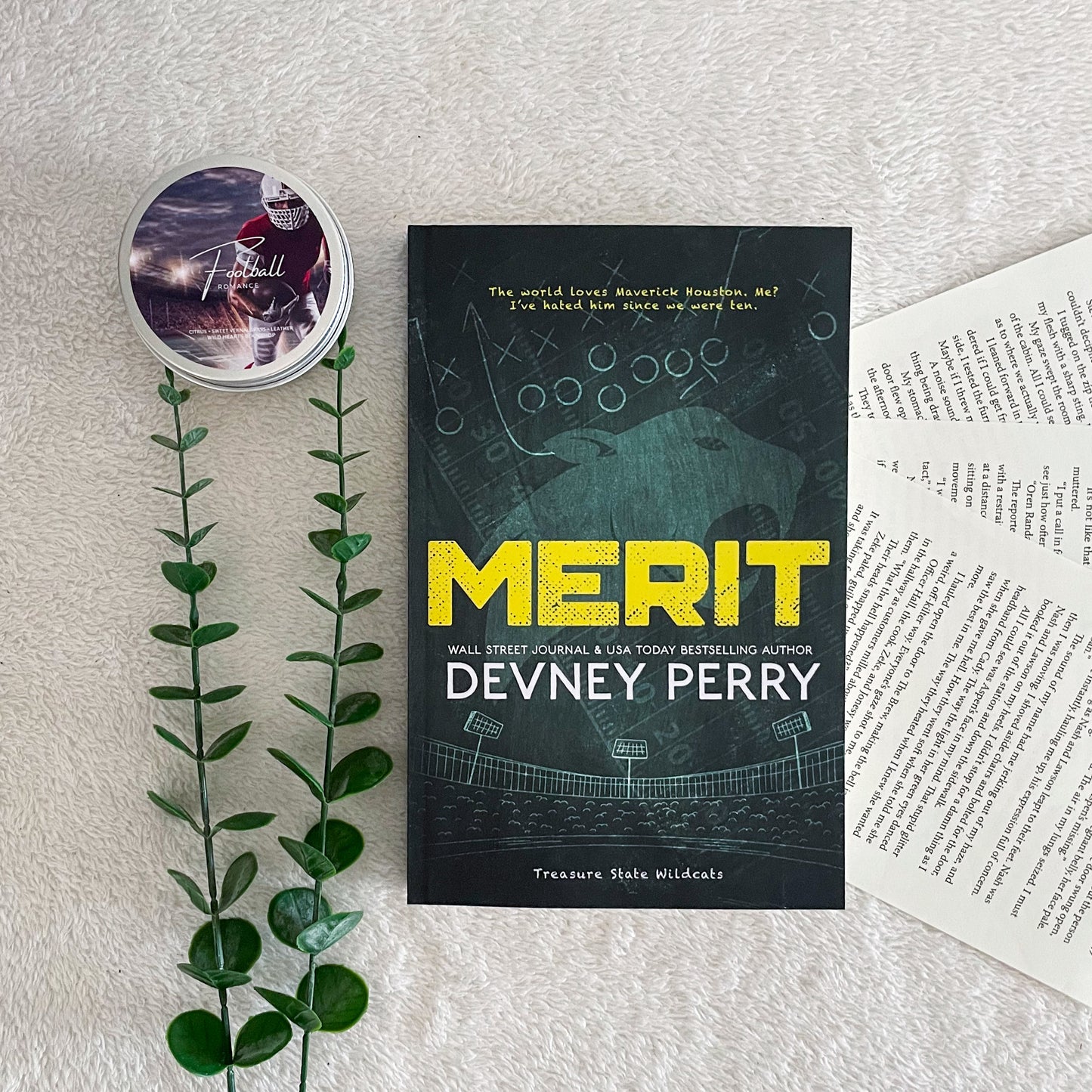 Treasure State Wildcats Series by Devney Perry