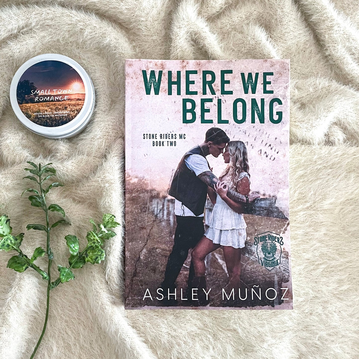 Stone Riders MC Series by Ashley Muñoz