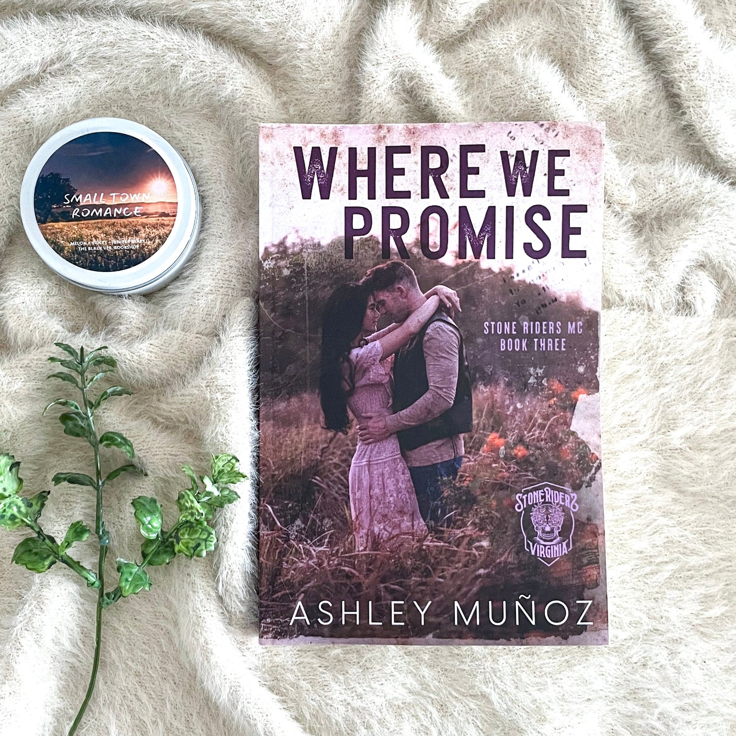 Stone Riders MC Series by Ashley Muñoz